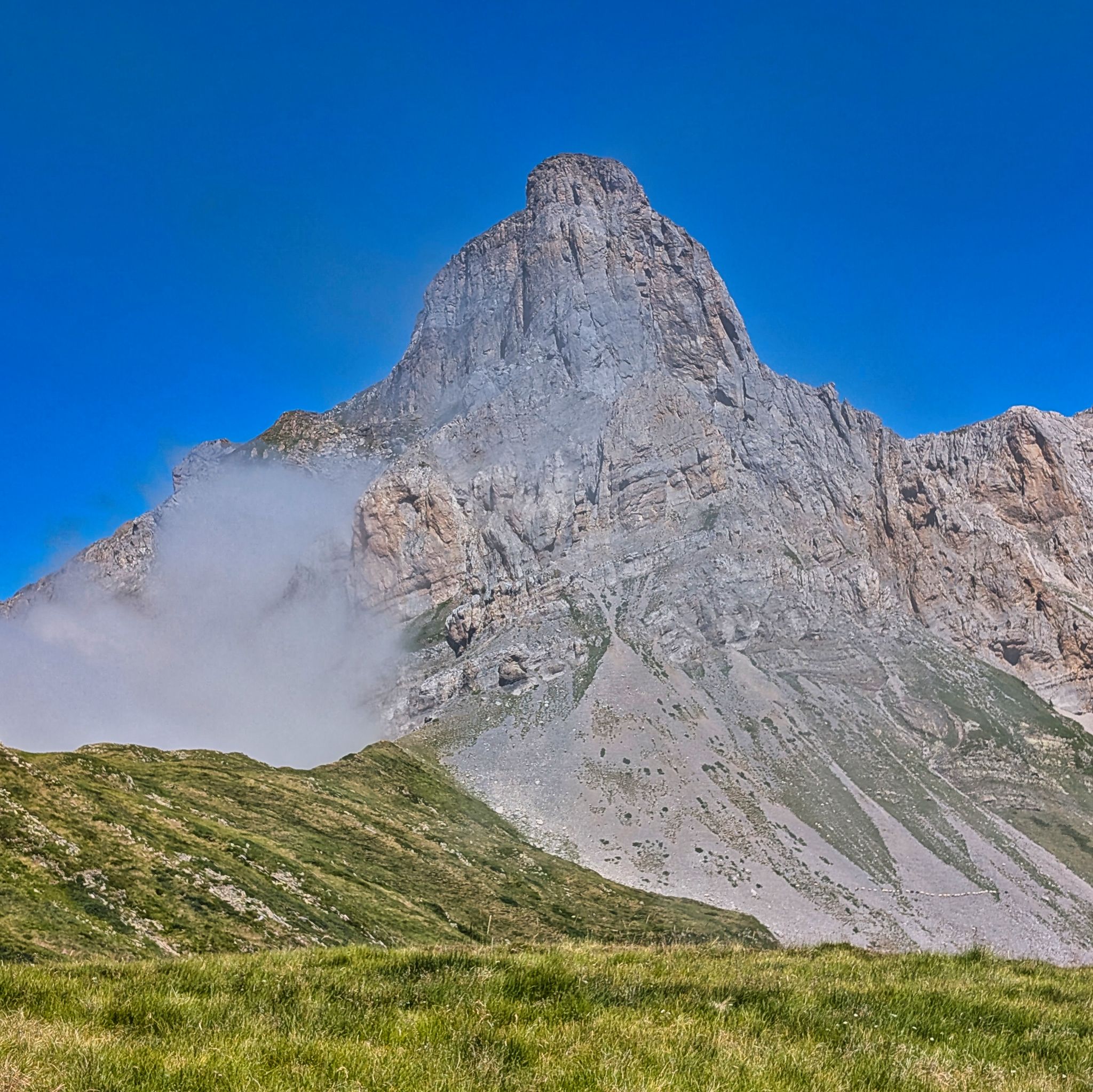 PXL 20250708 091800812