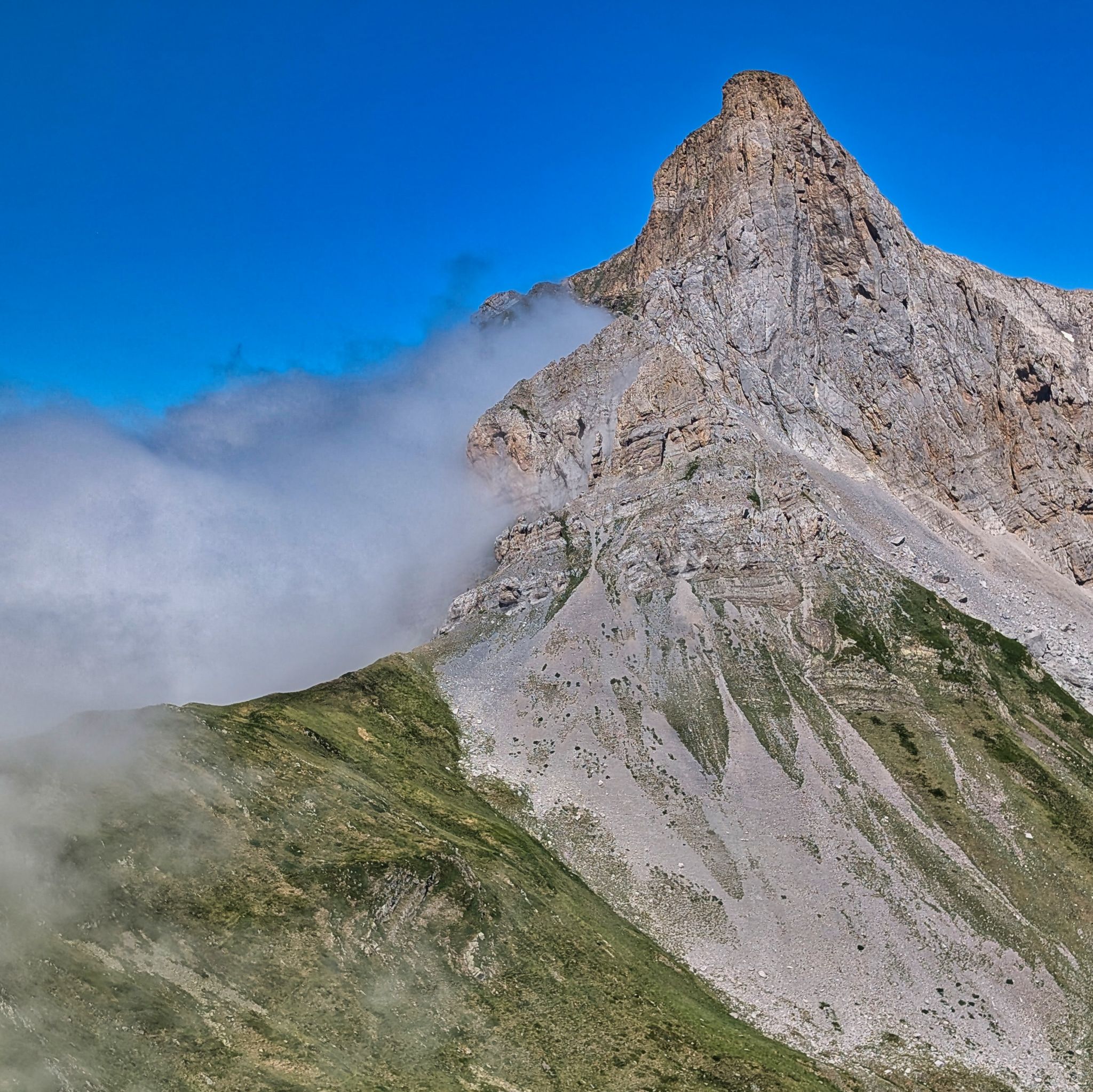 PXL 20250708 093417796