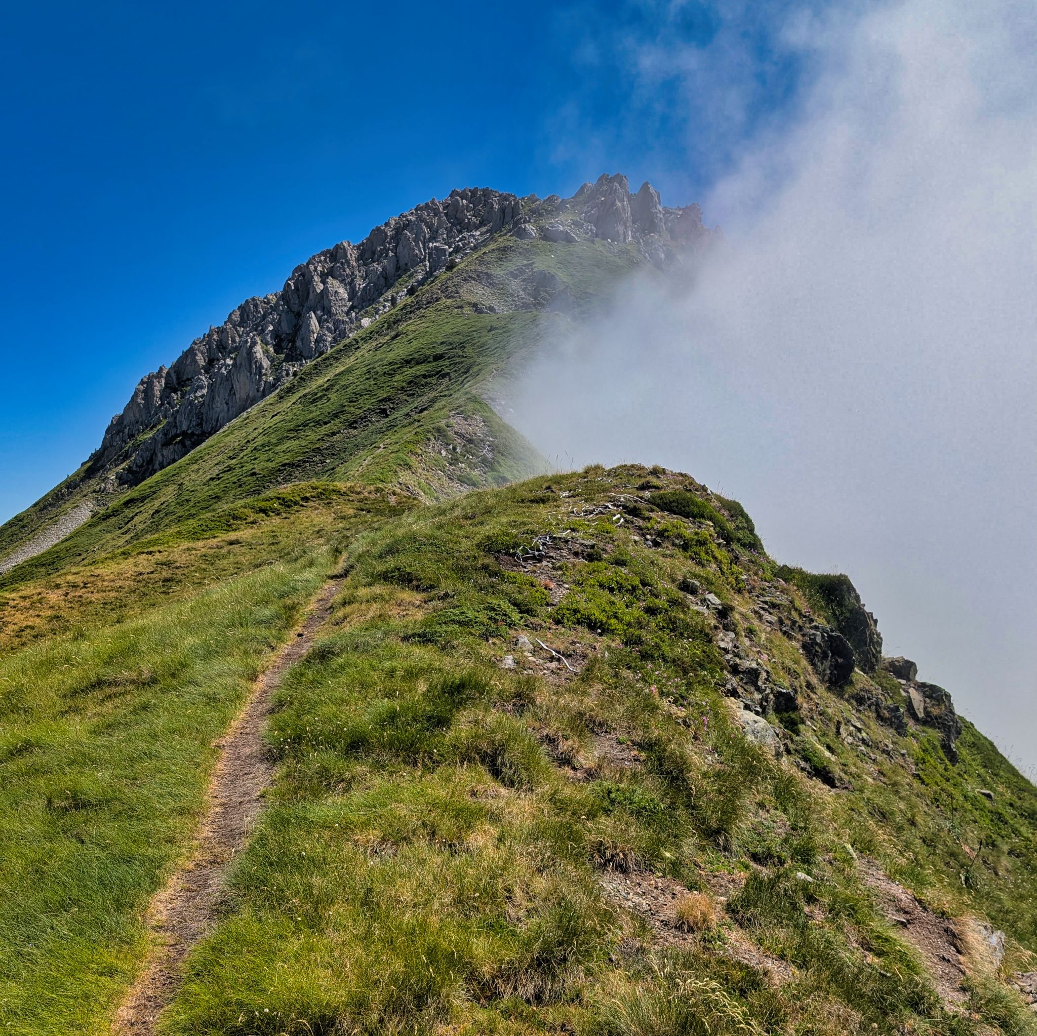 PXL 20250708 103547399