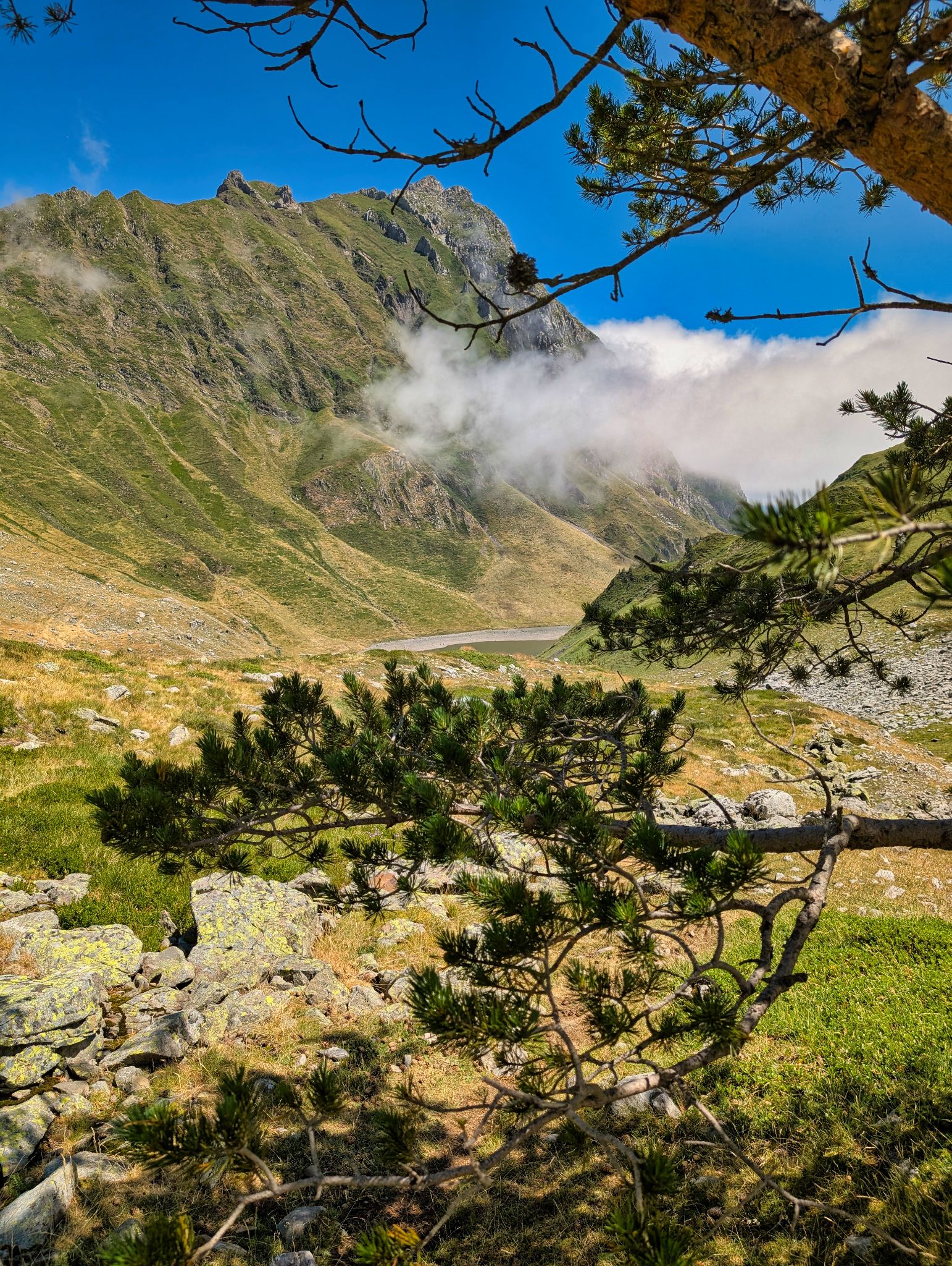 PXL 20250708 105917055