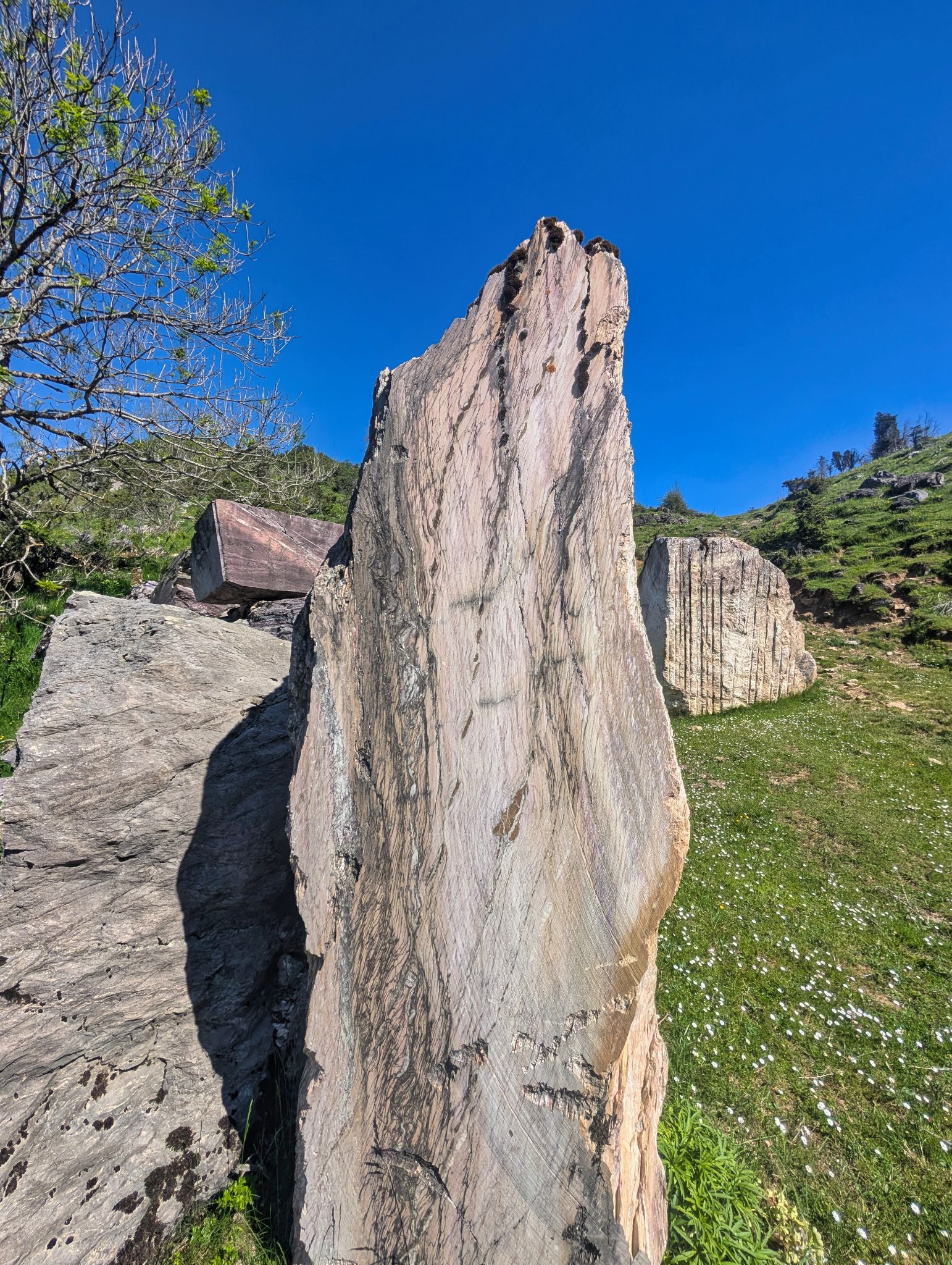 PXL 20250530 085803535