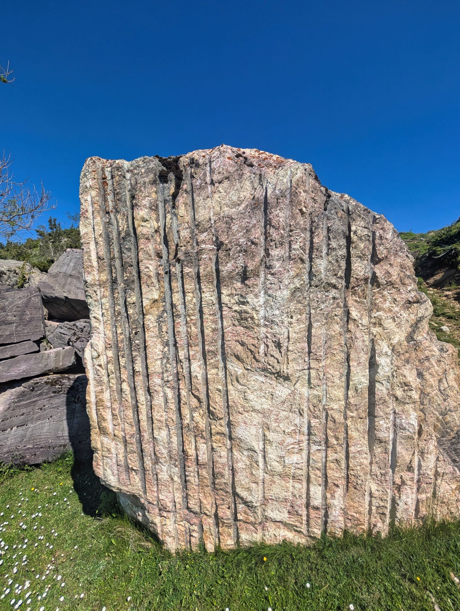 PXL 20250530 085817602