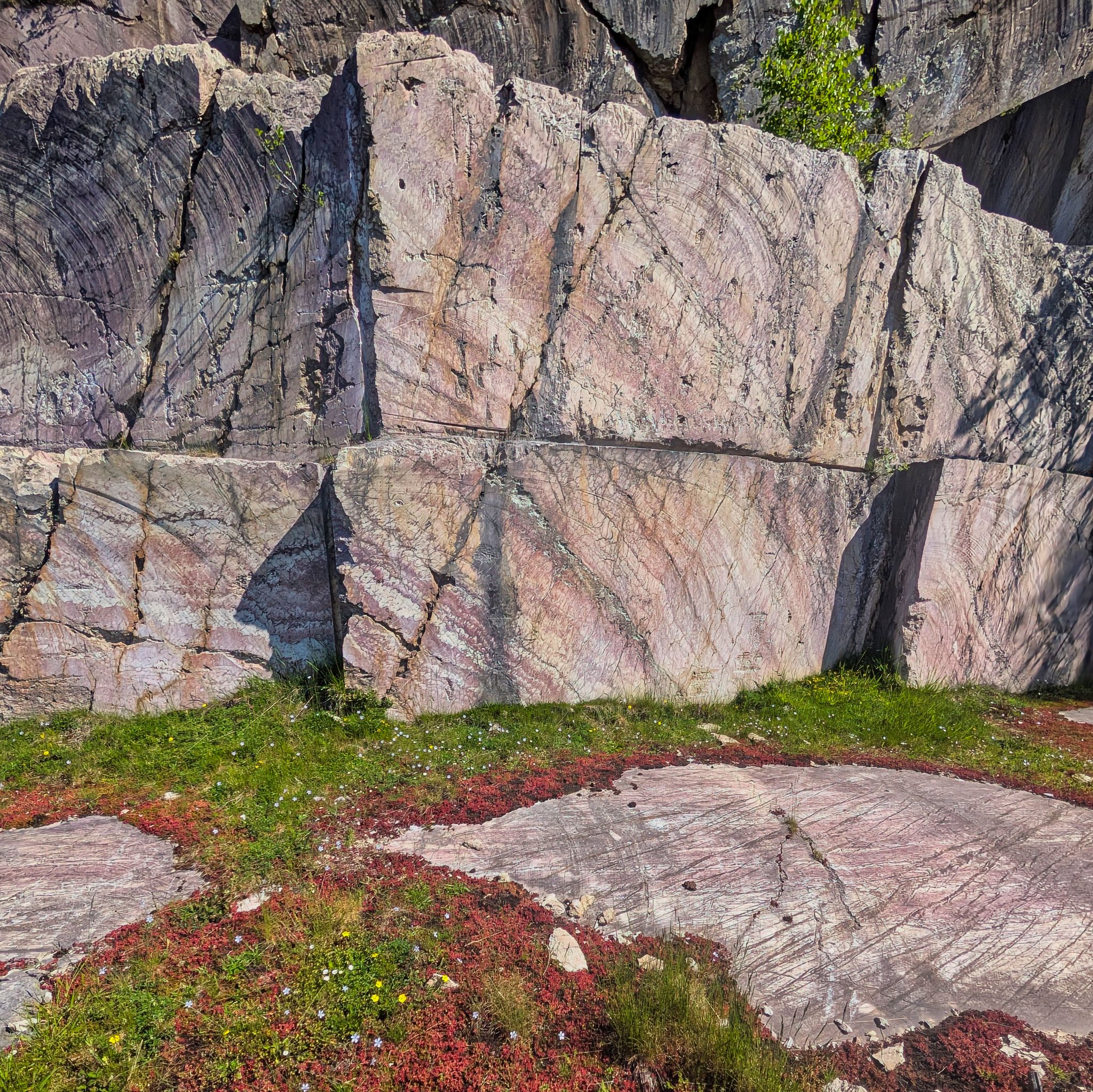 PXL 20250530 090600592