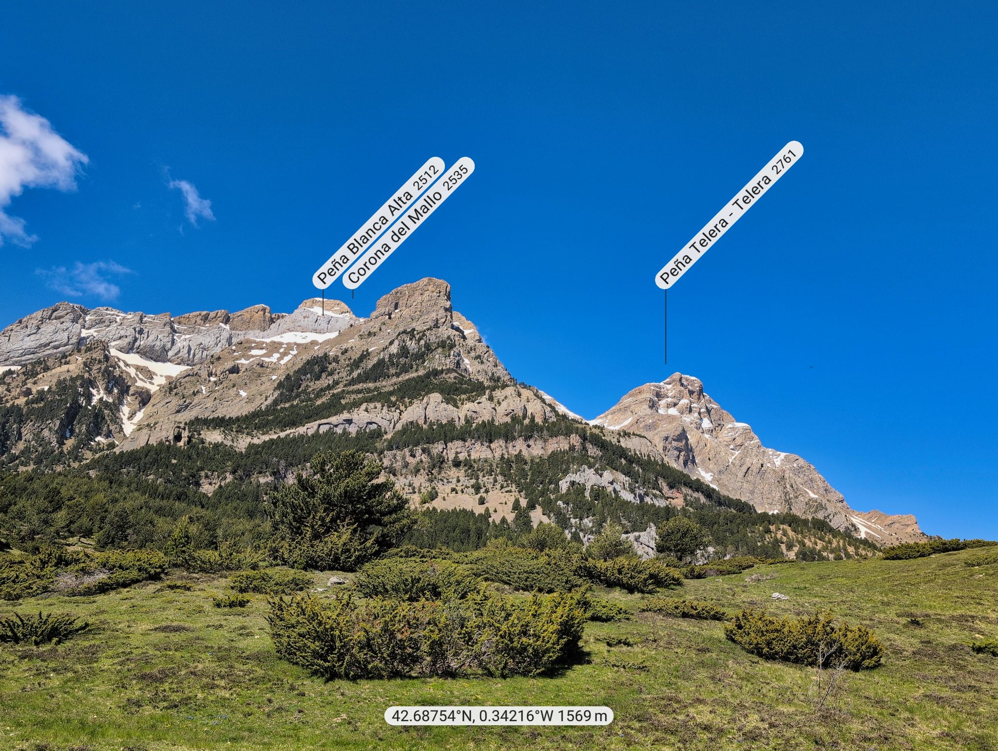 20250517 112110 42.68754  0.34216