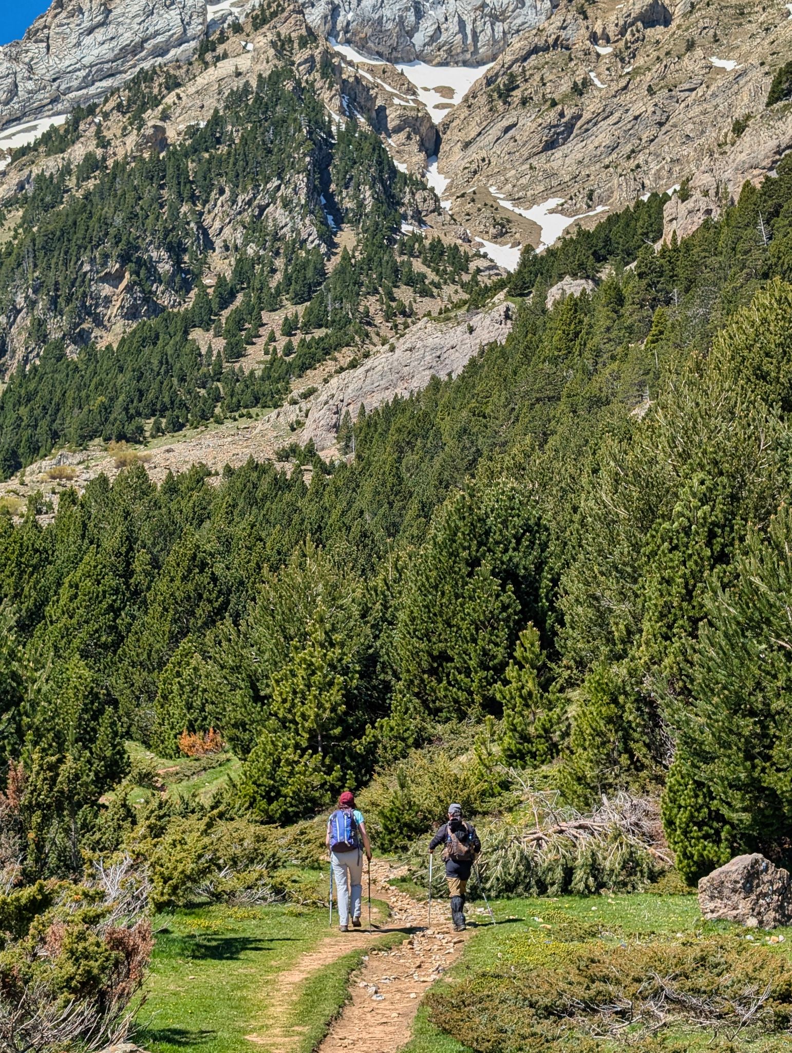 PXL 20250517 094336893