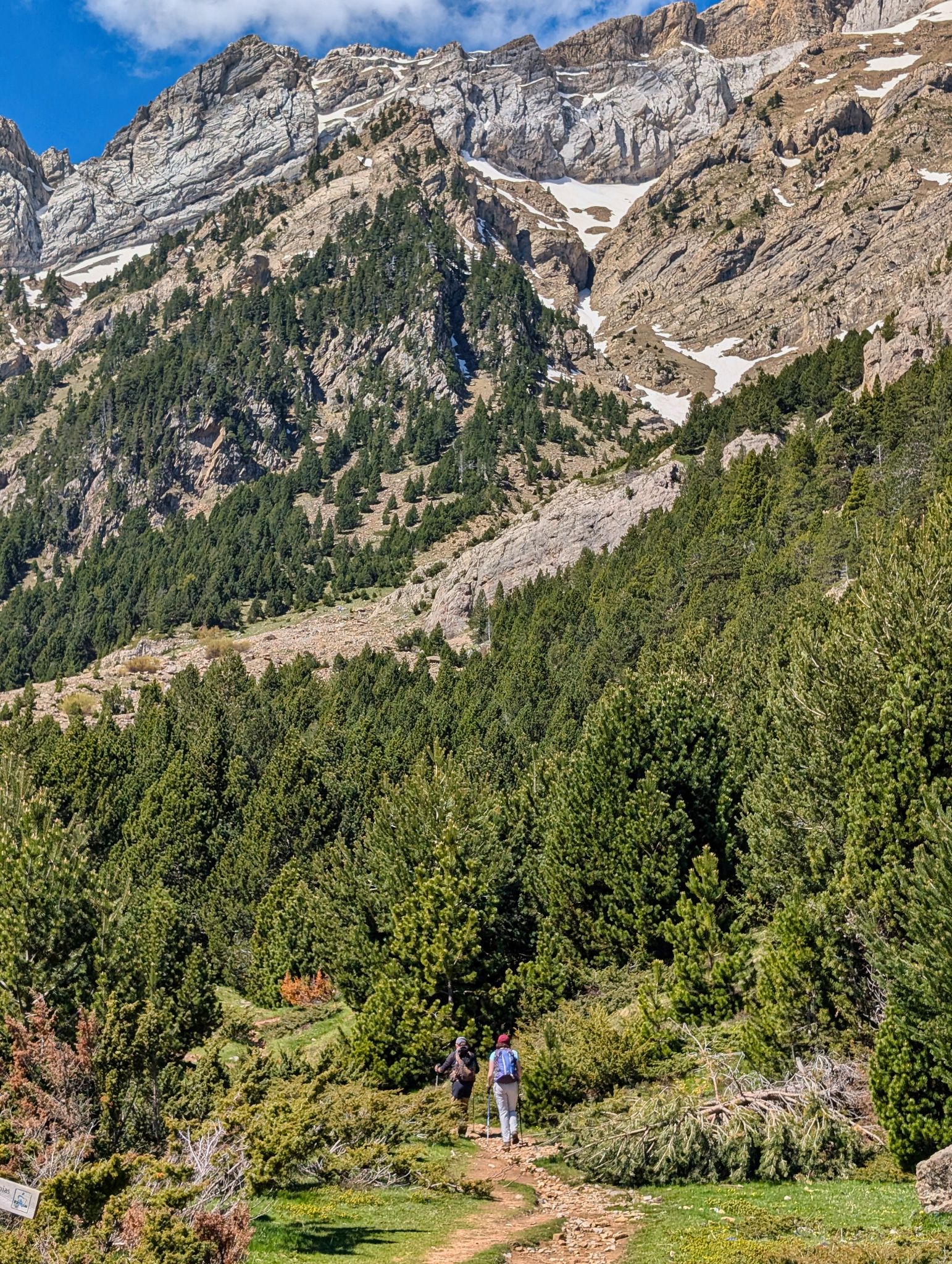 PXL 20250517 094346836