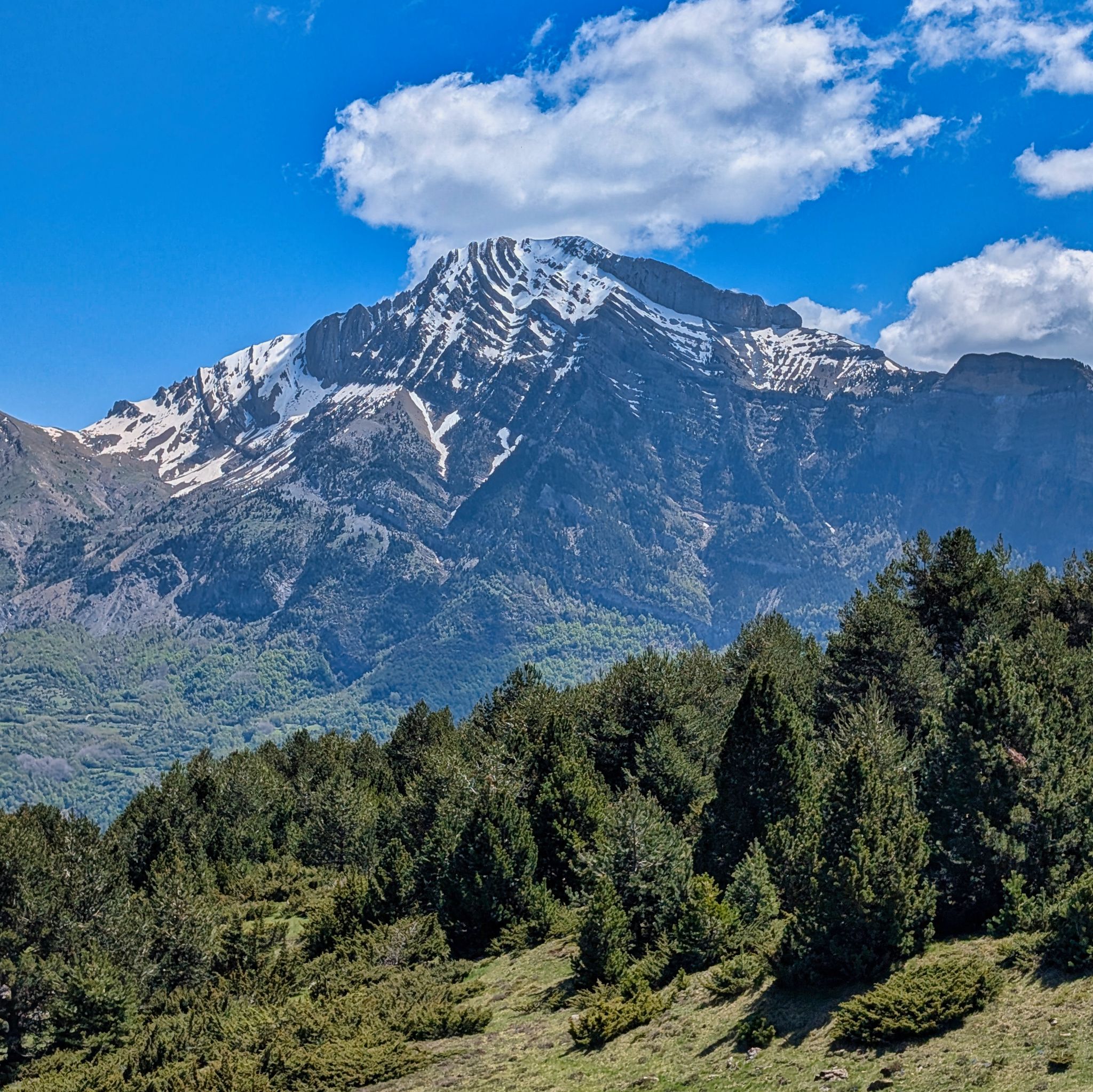 PXL 20250517 110014913