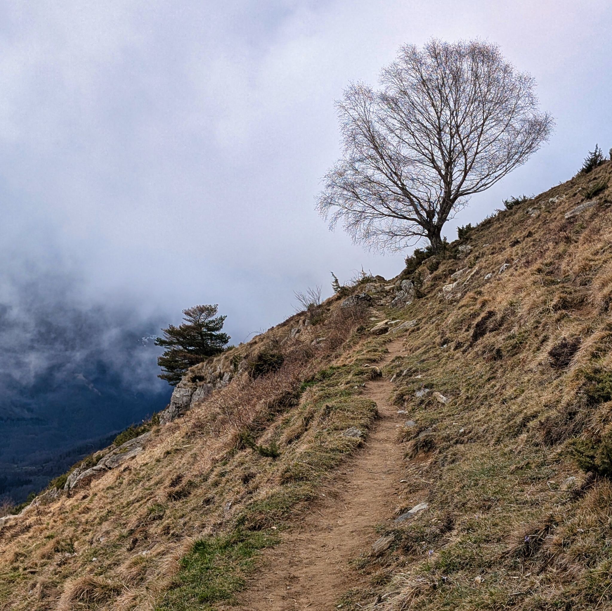 PXL 20260308 131133097