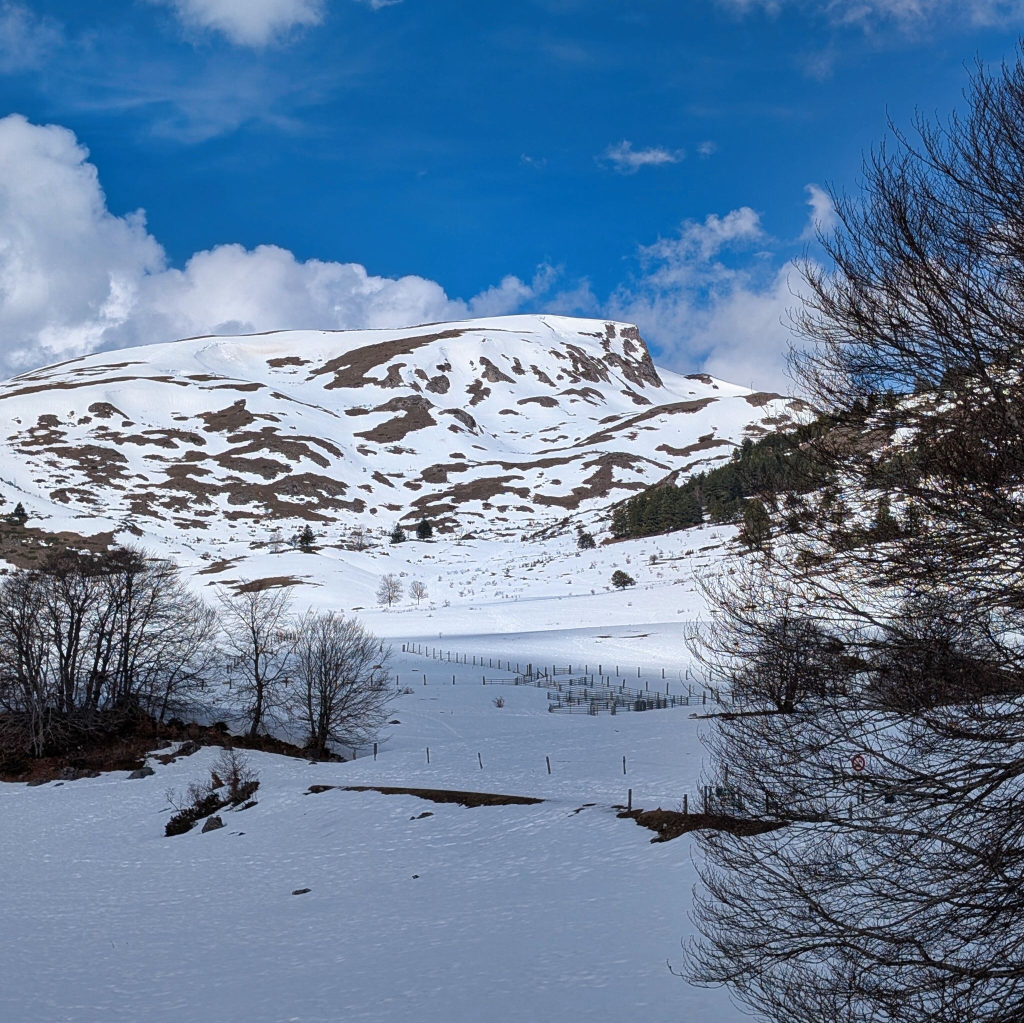 PXL 20260309 110250869