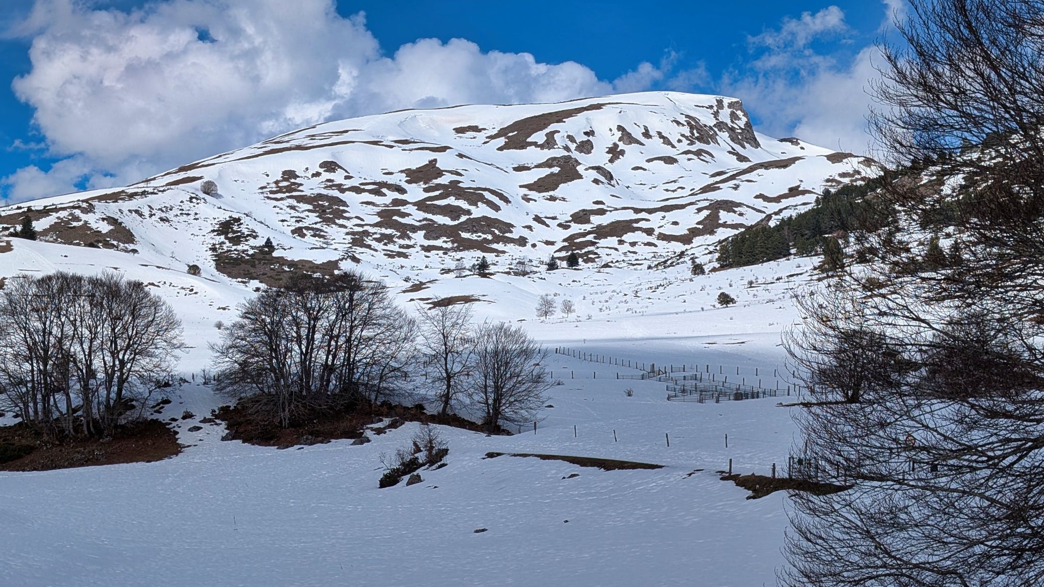 PXL 20260309 110256864