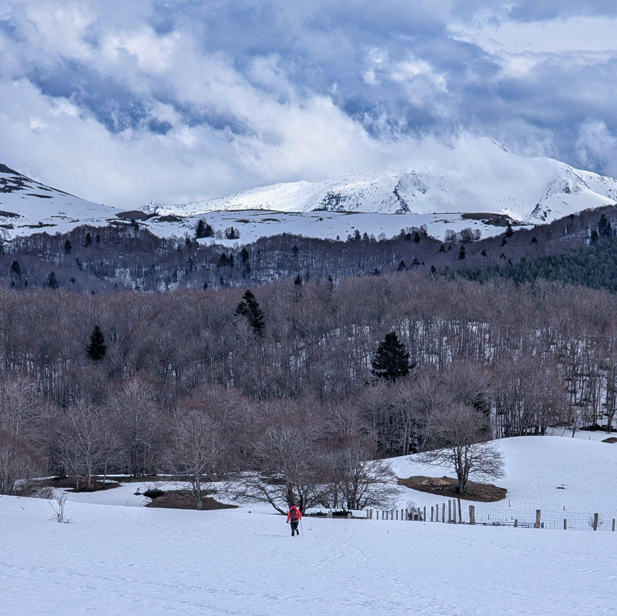 PXL 20260309 125807735