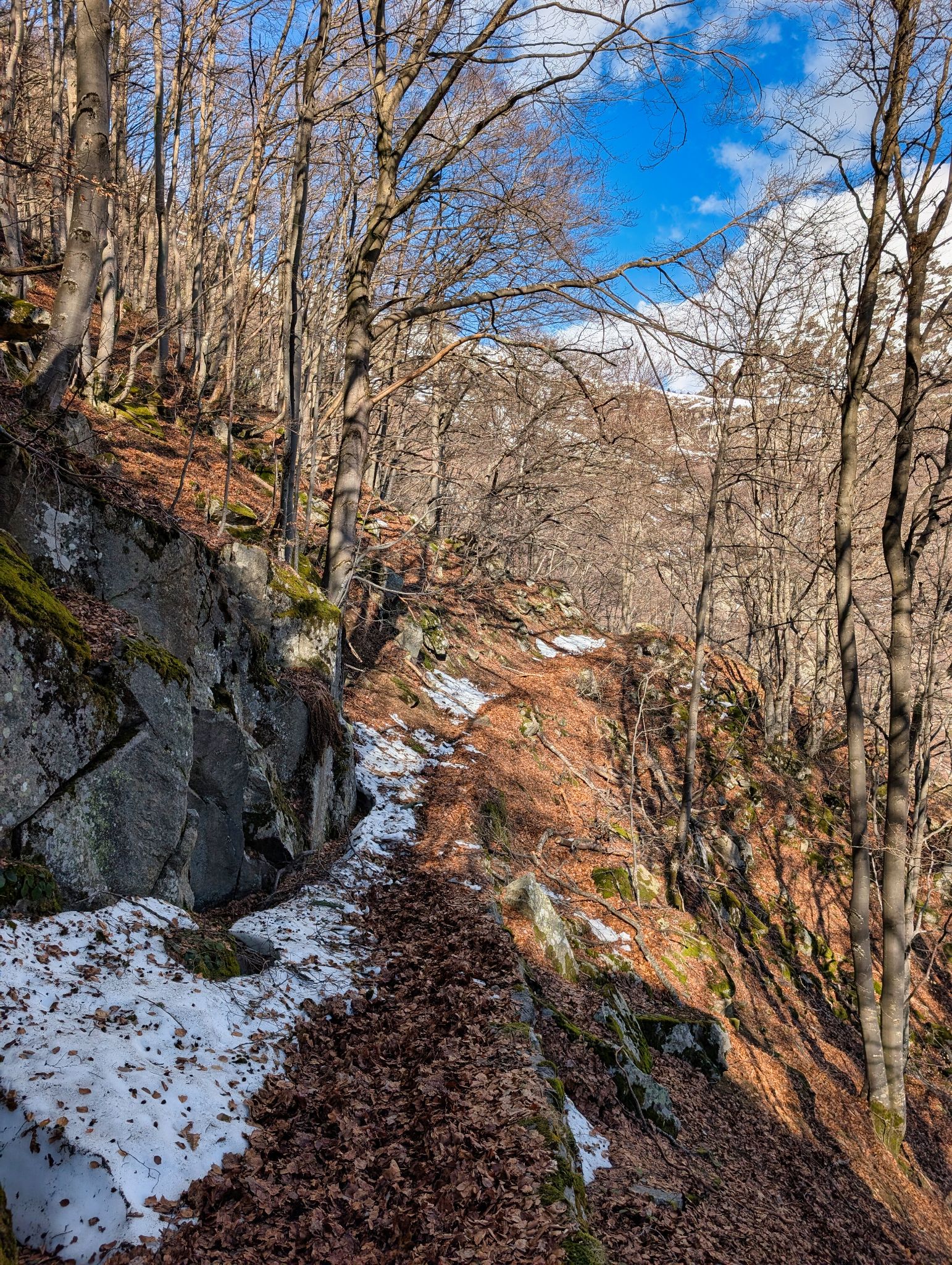 PXL 20260310 092935166