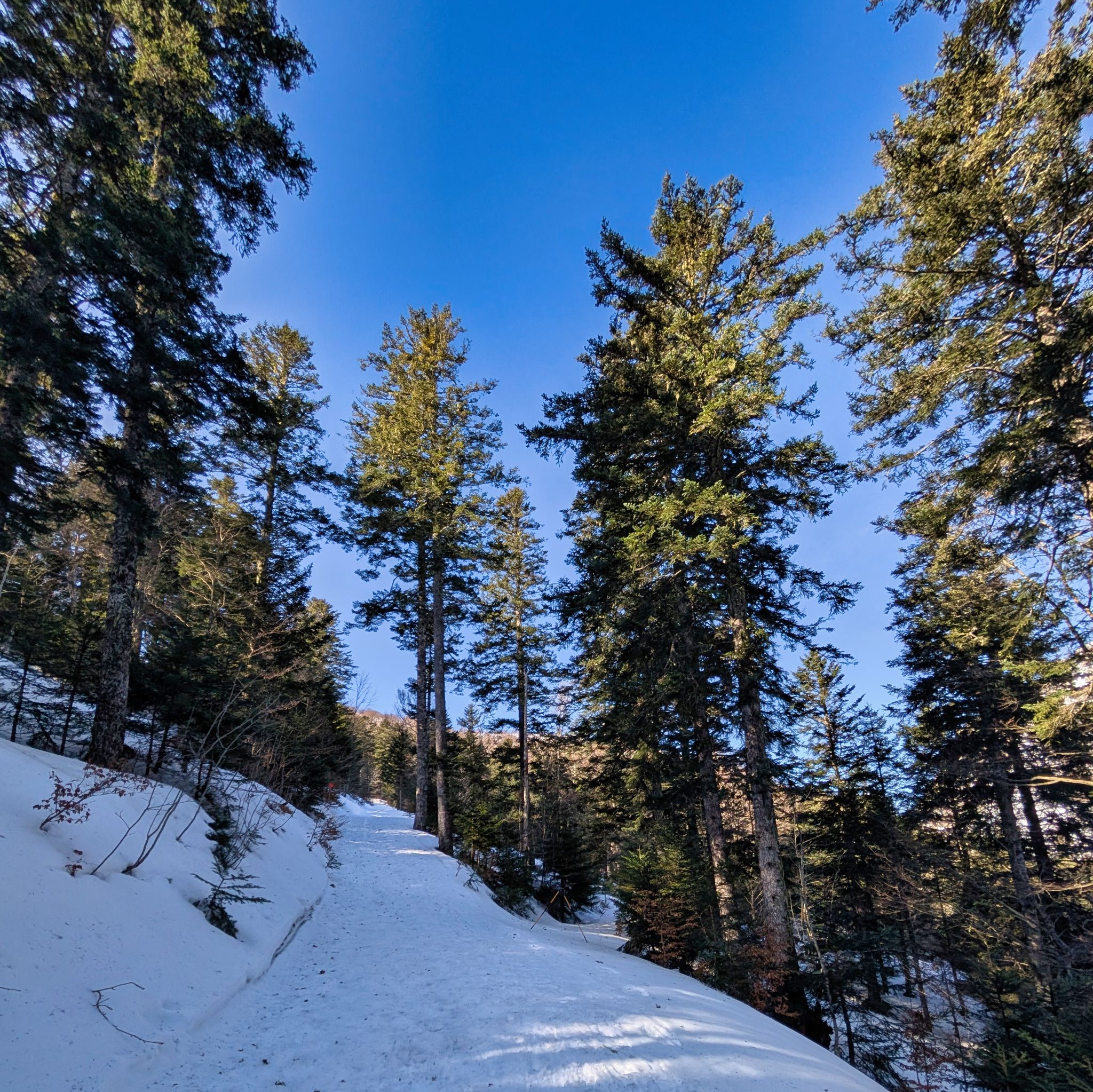 PXL 20260218 105256523