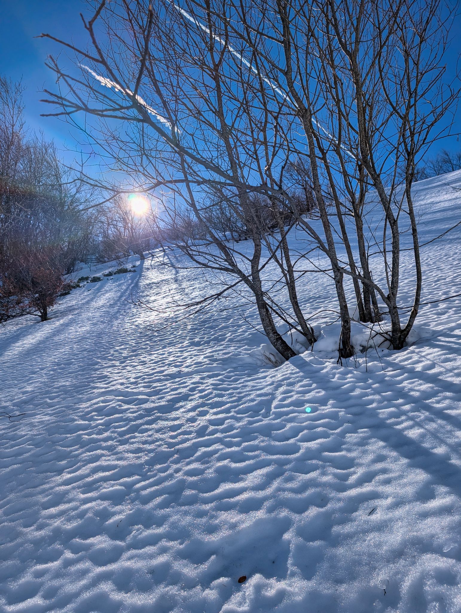 PXL 20260218 110640689