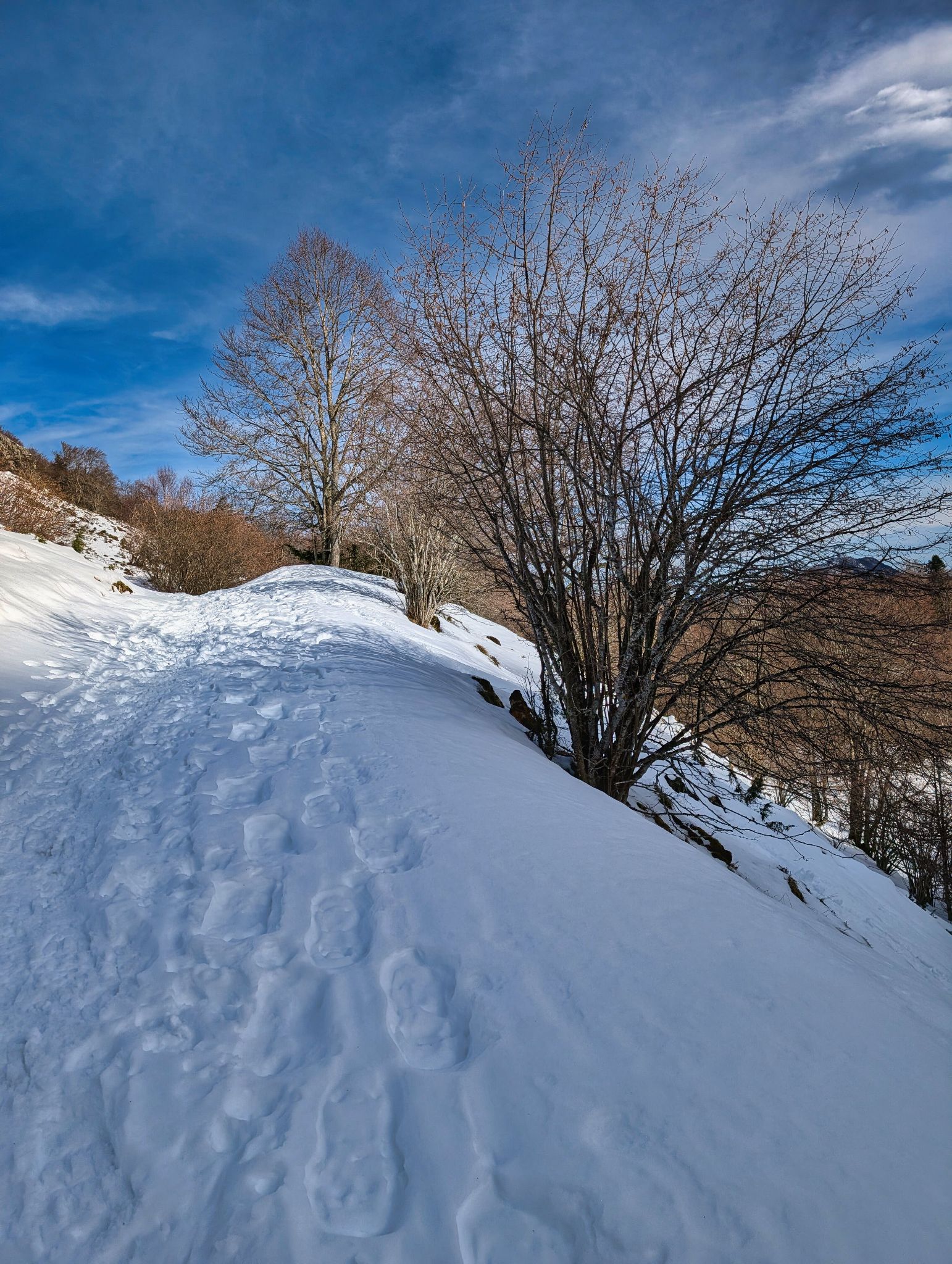 PXL 20260112 111648195