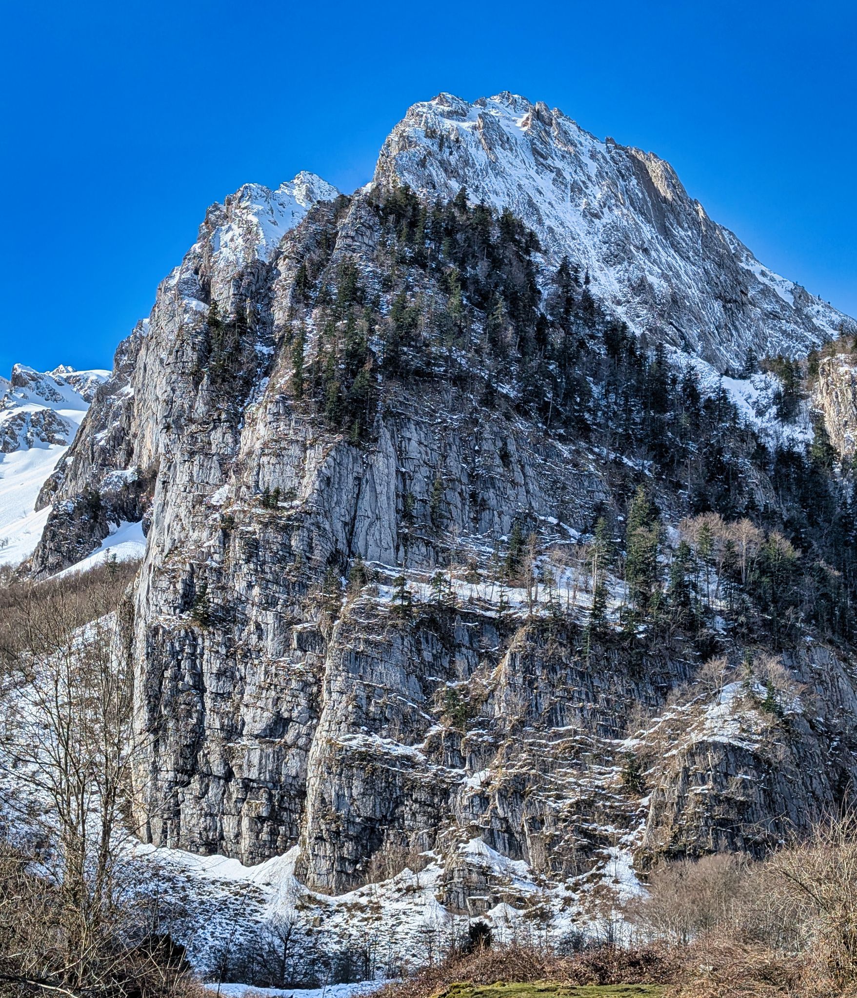 PXL 20260222 093837813