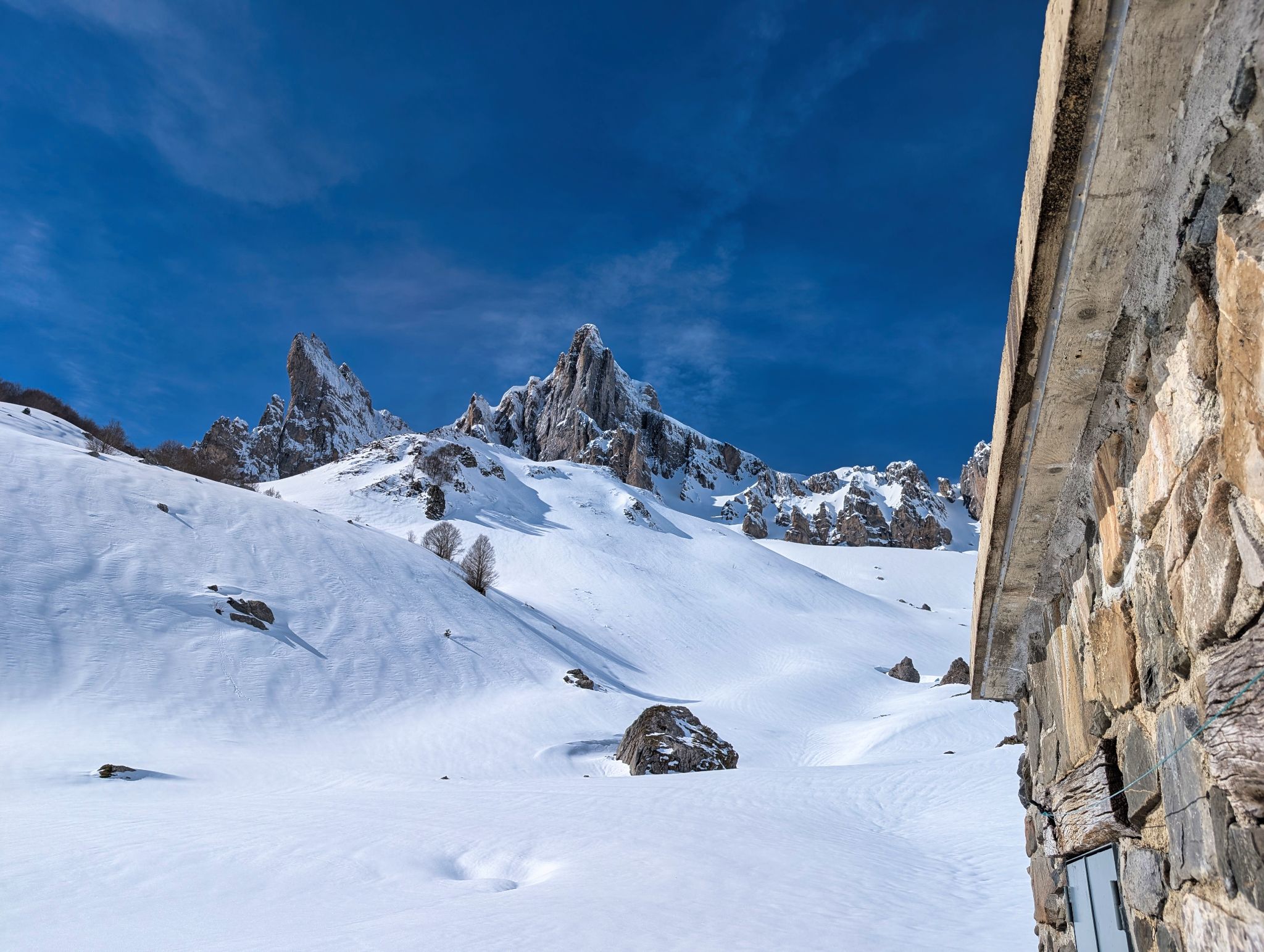 PXL 20260222 111442884