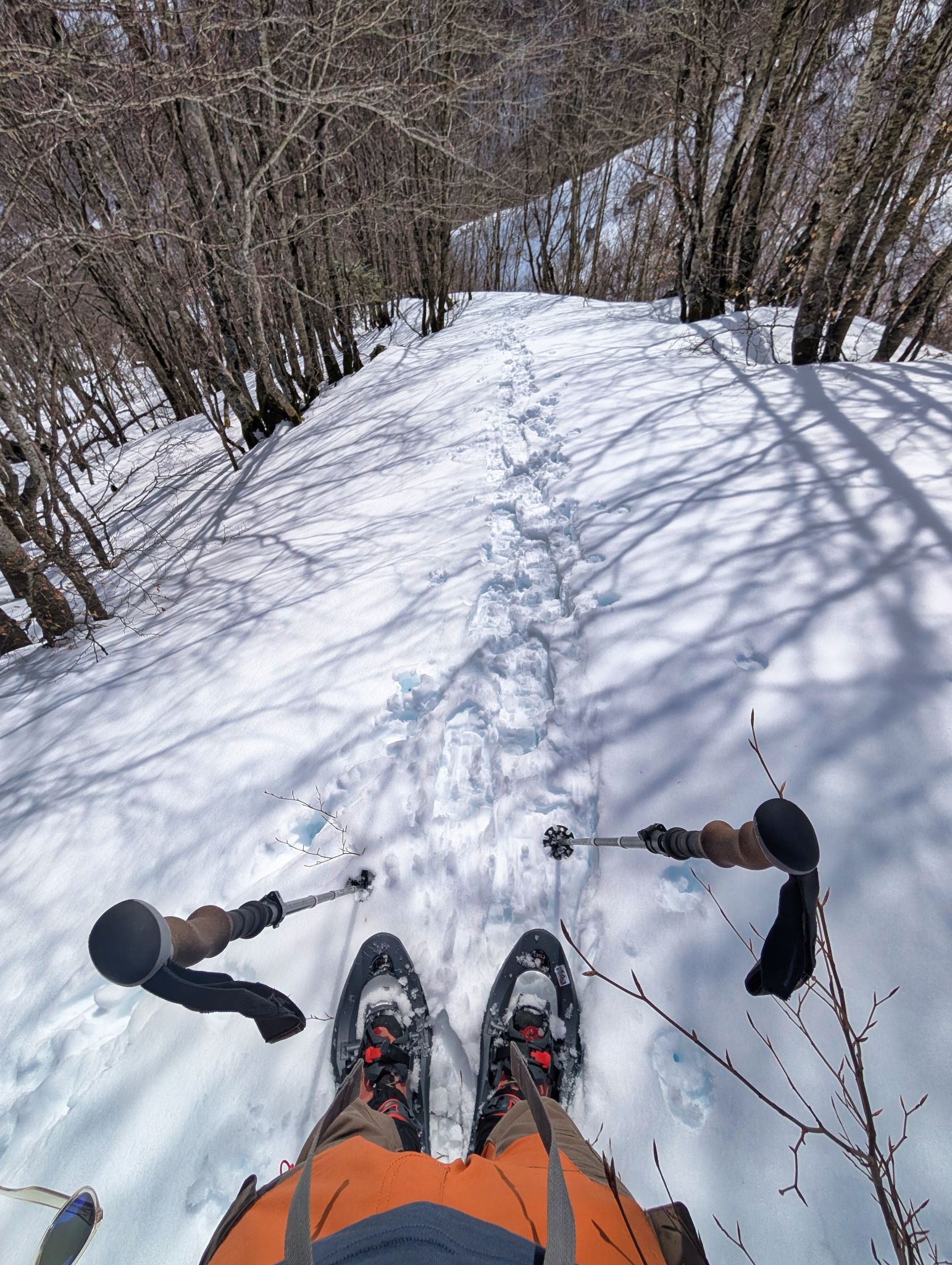 PXL 20260222 115356653