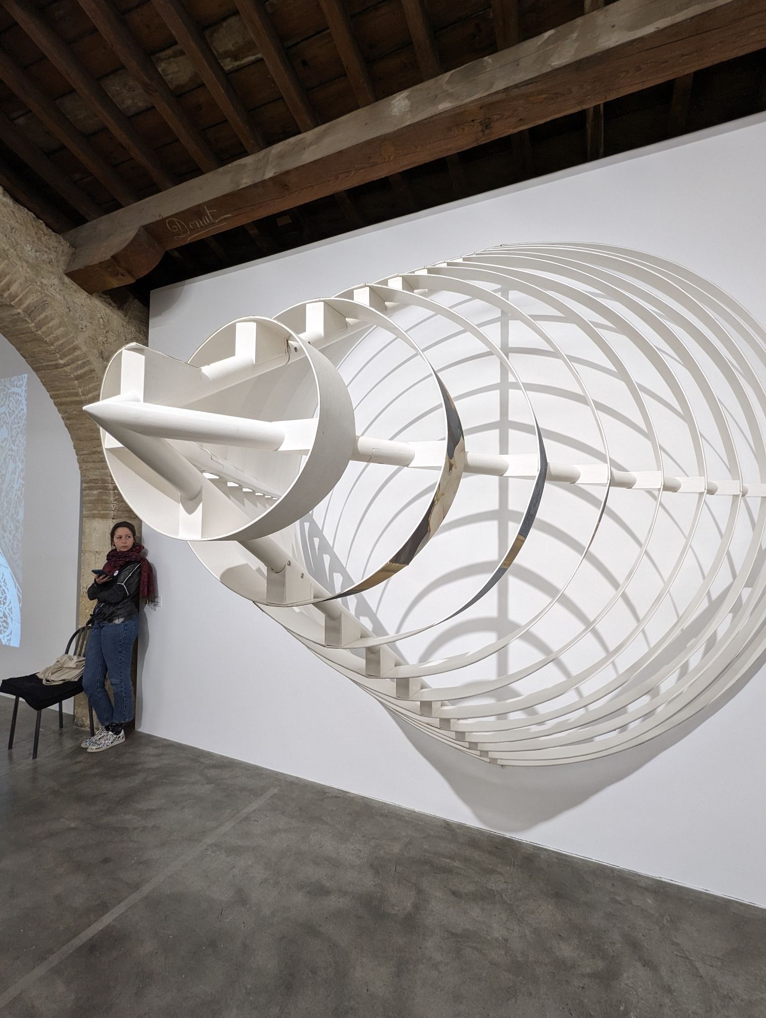 PXL 20240303 144432978.MP