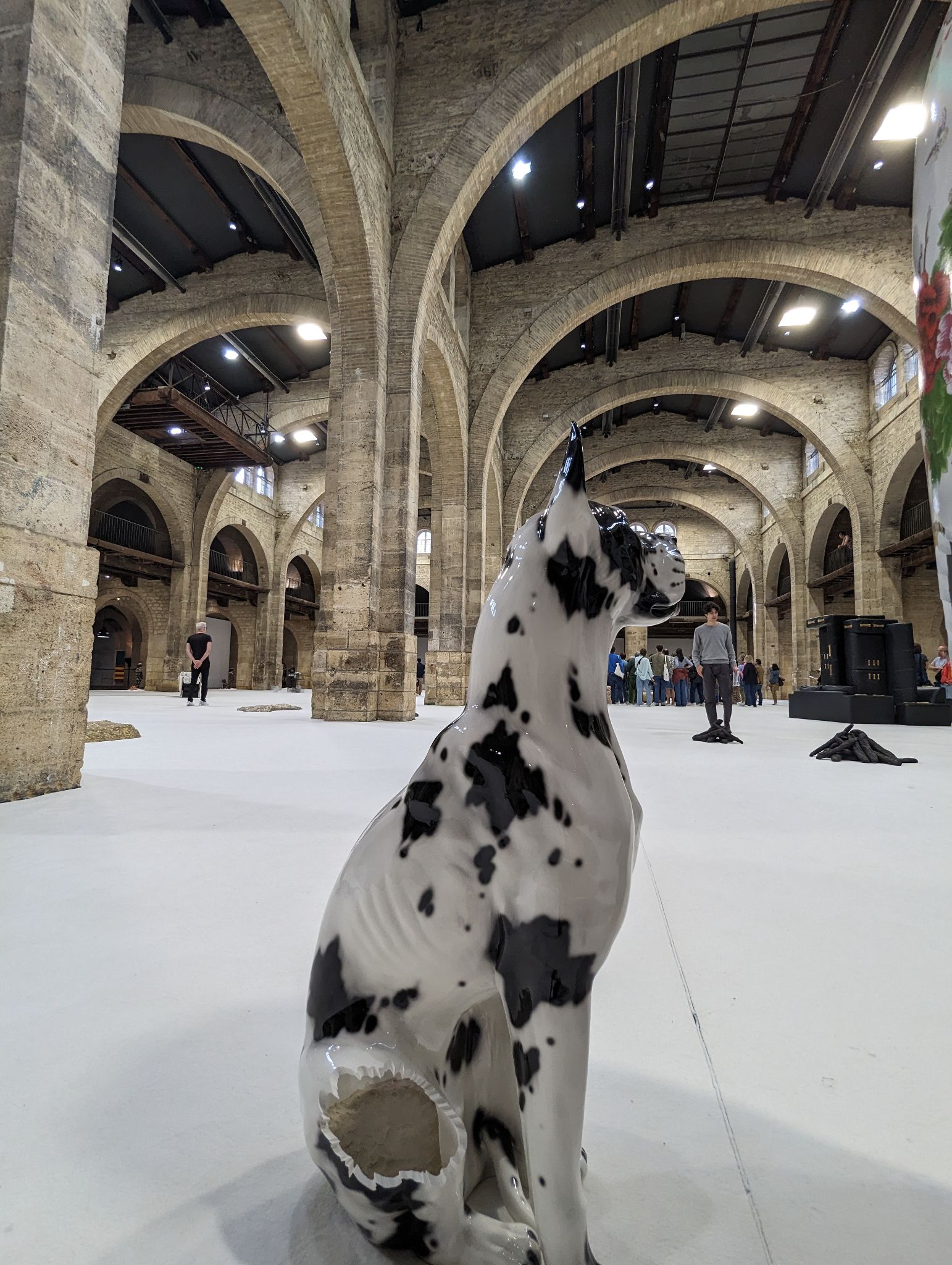 PXL 20240407 144532392