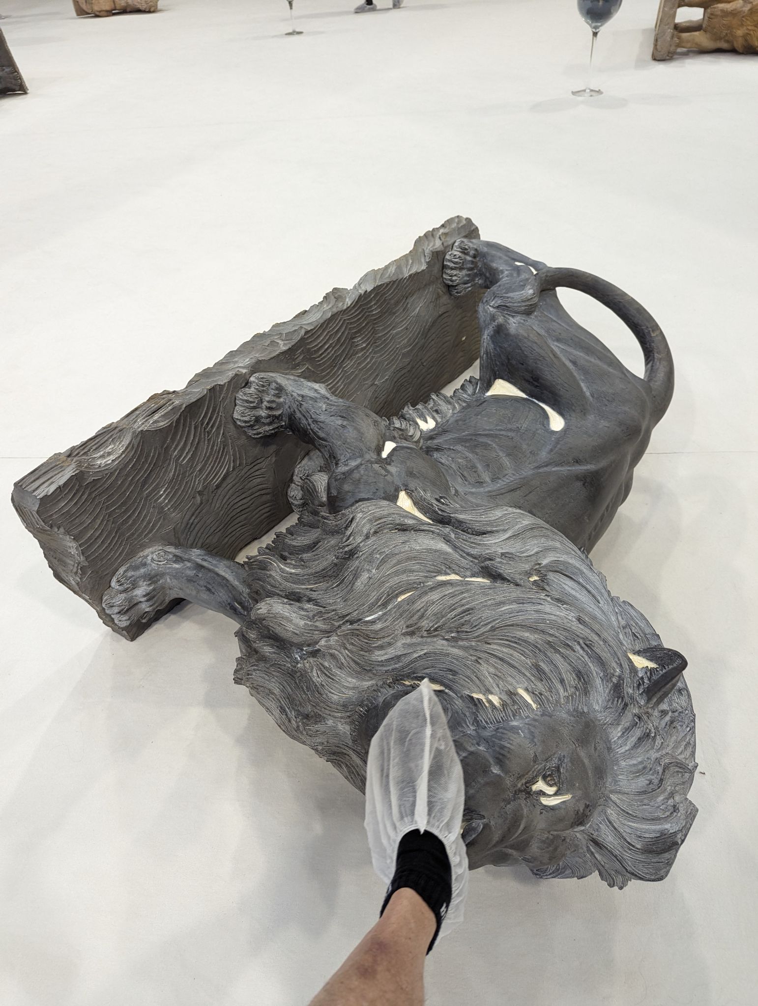 PXL 20240407 144925825