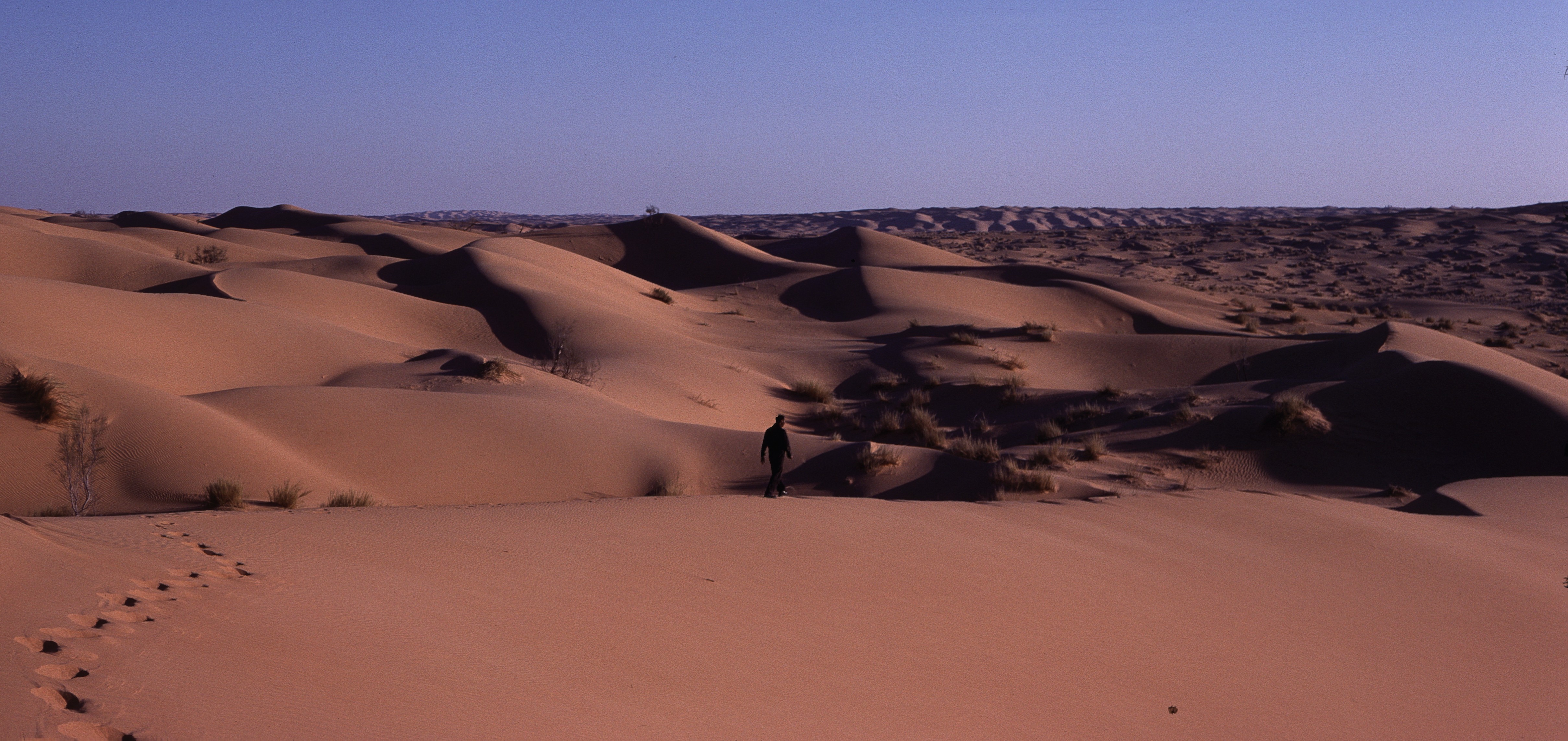 Sahara 12 1981