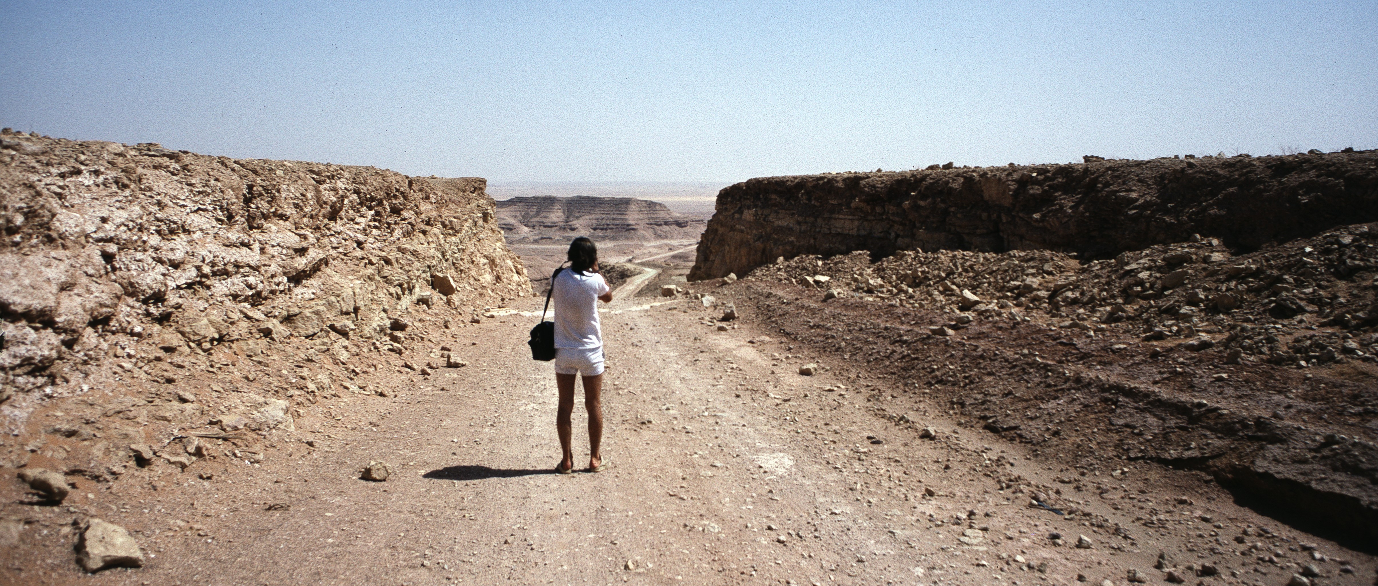 Sahara 15 1980