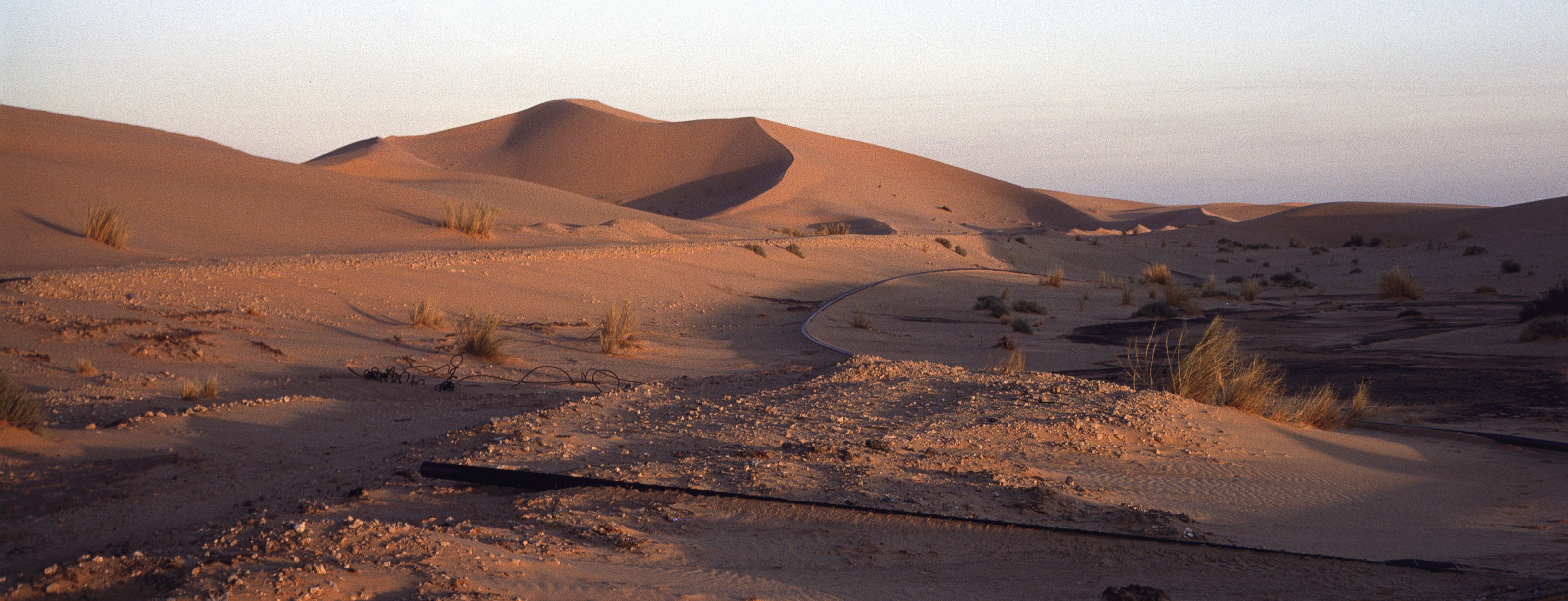 Sahara 20 1980