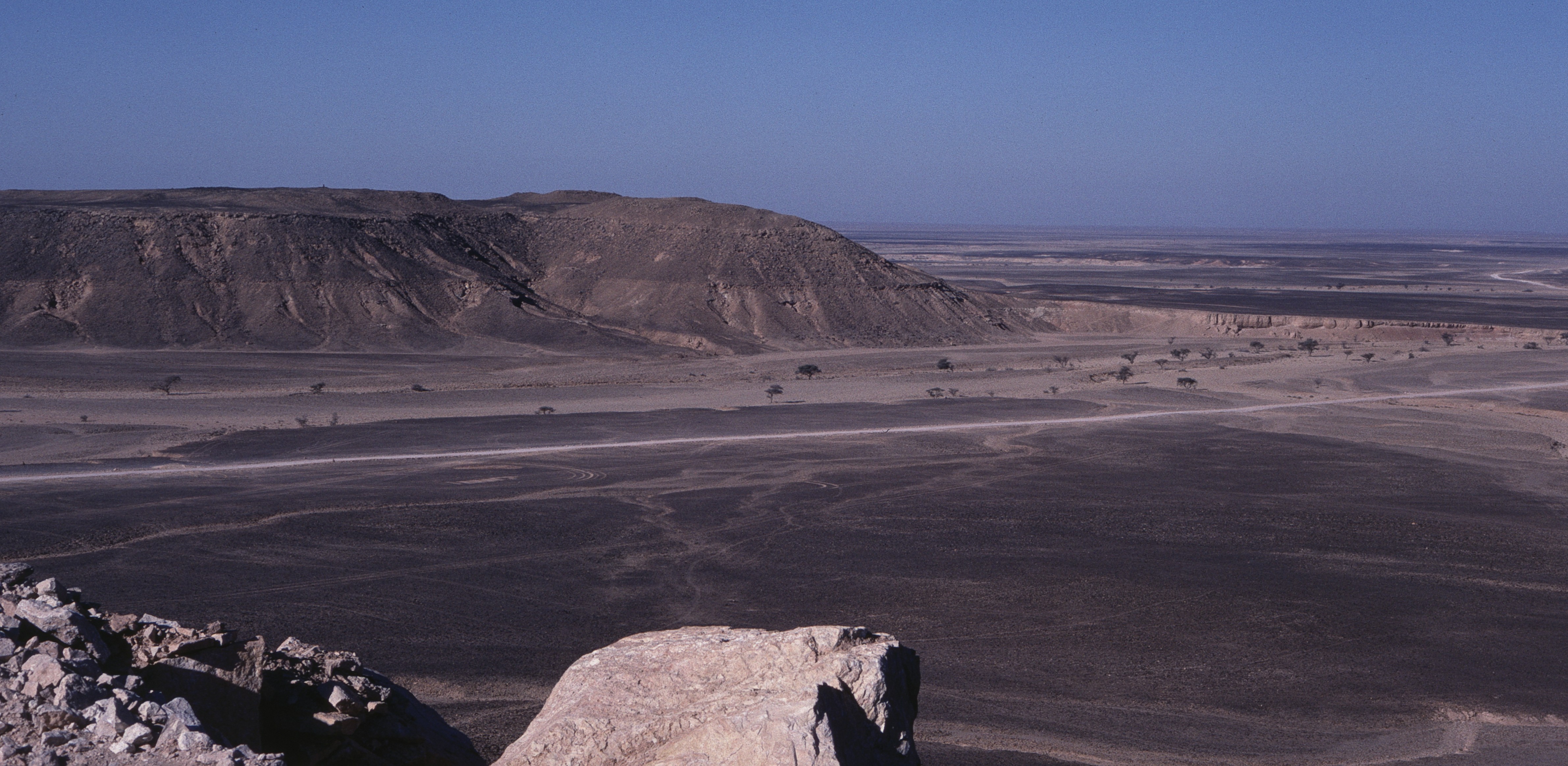 Sahara 27 1981