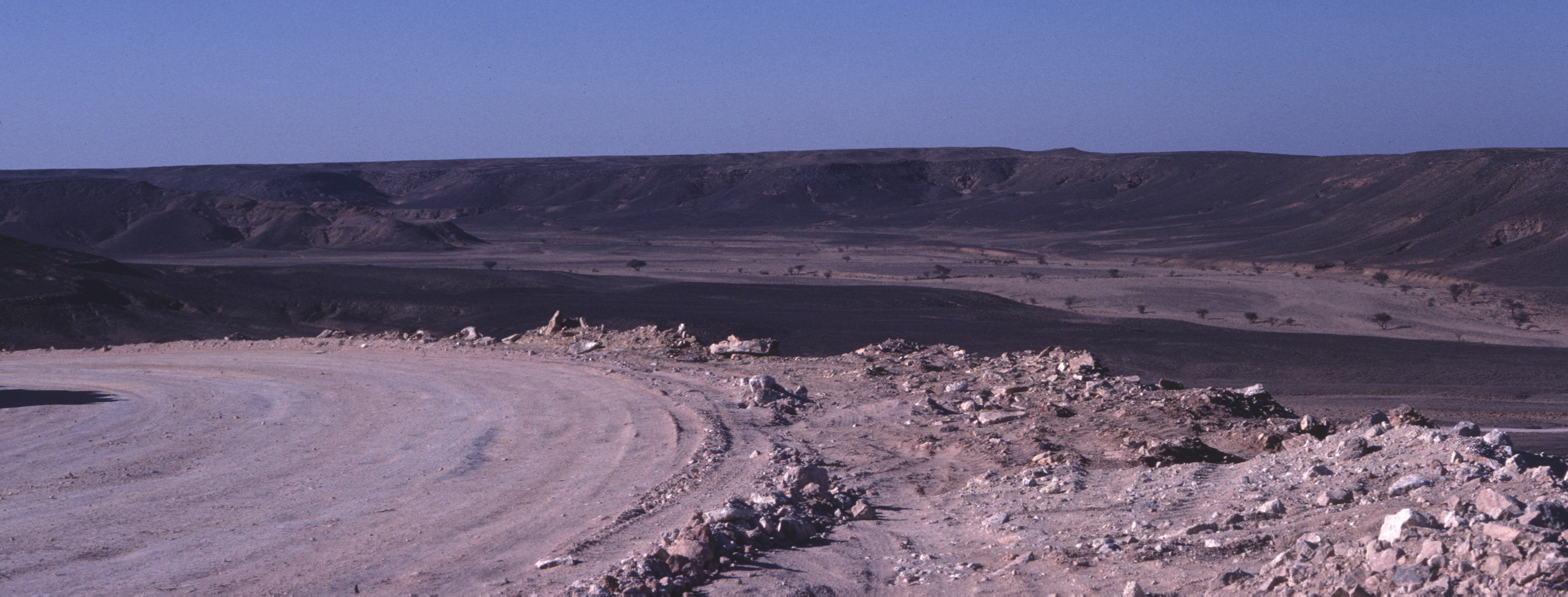 Sahara 35 1981