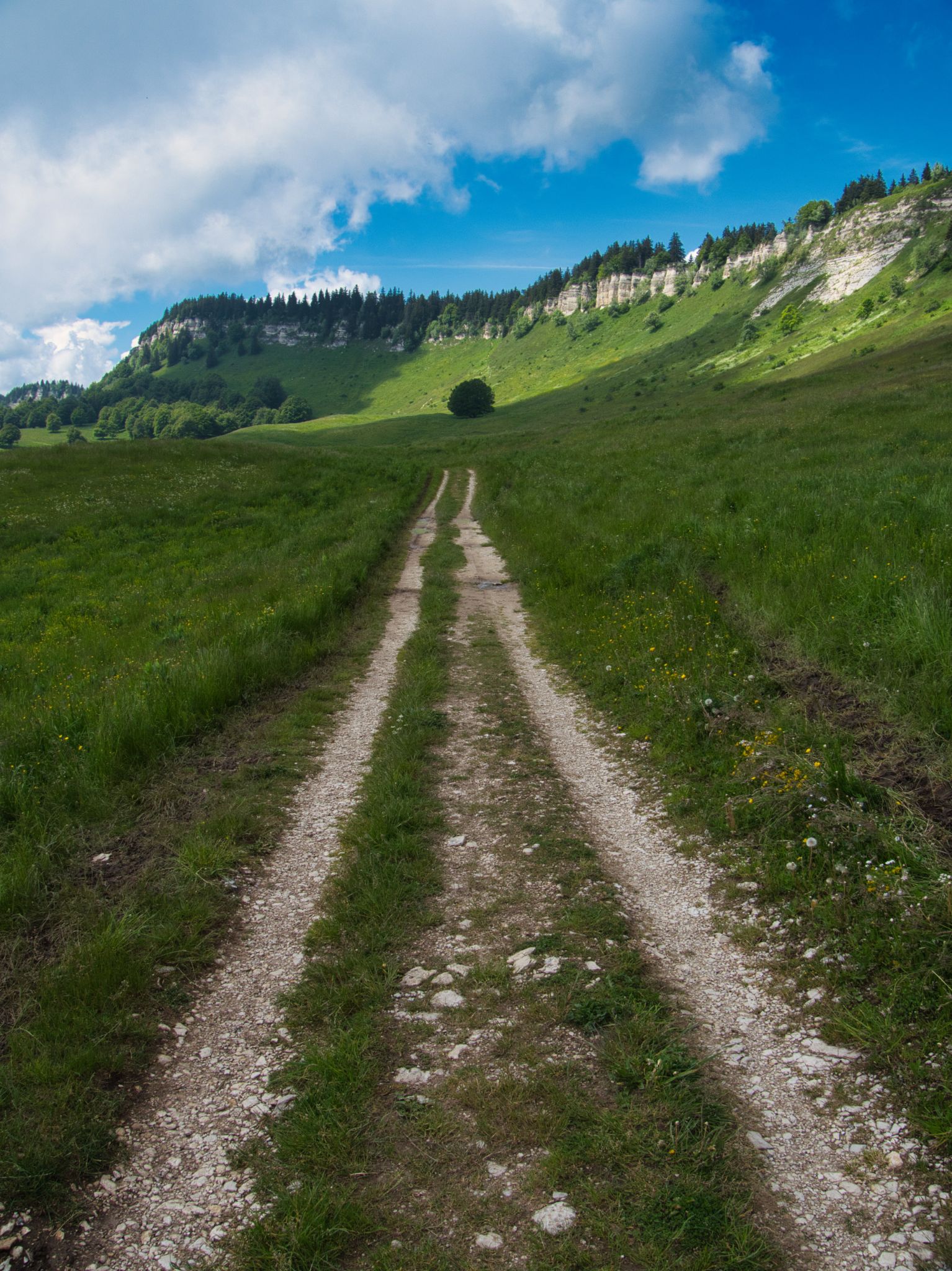 P1004028