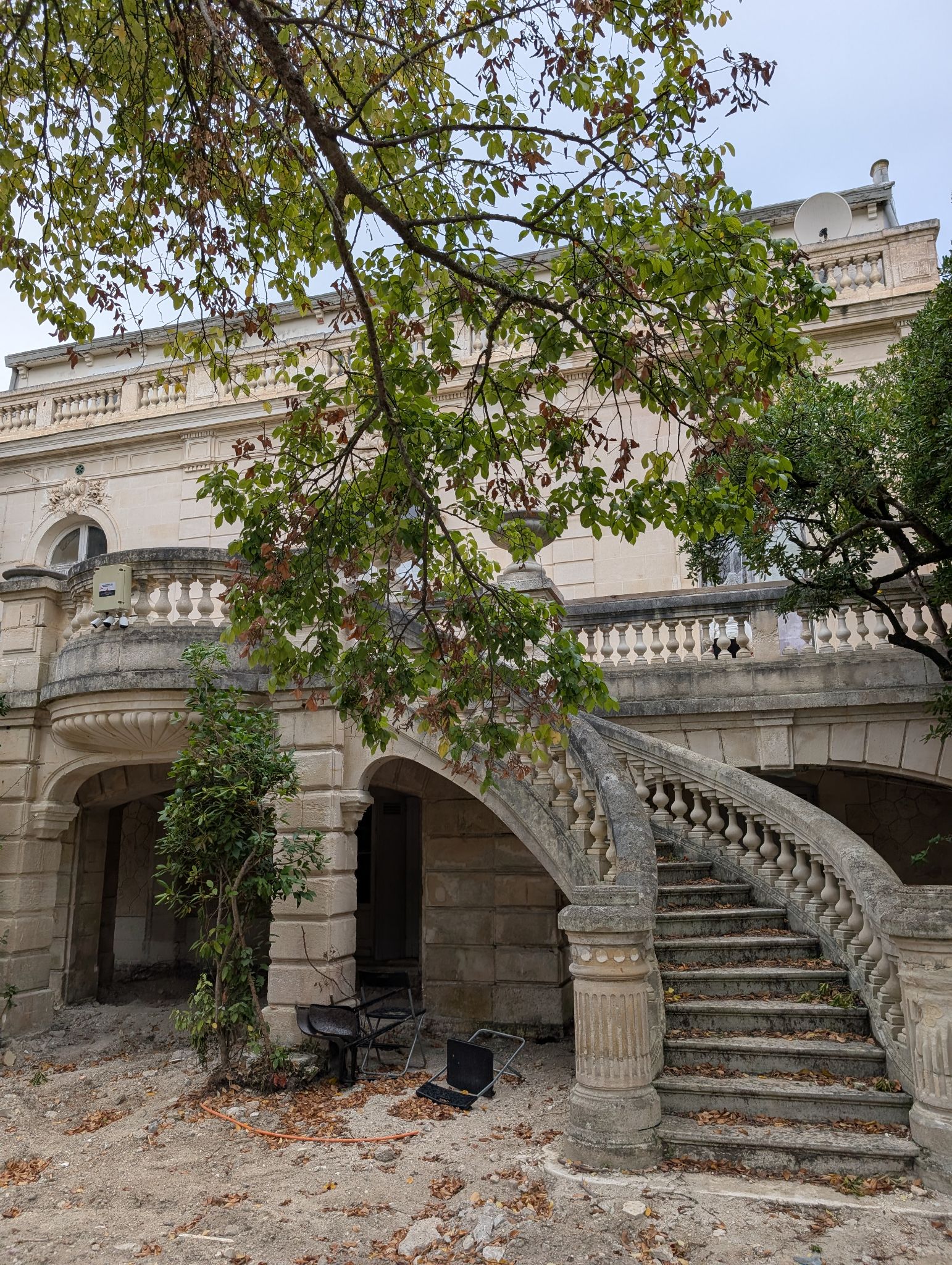 PXL 20251019 150853848