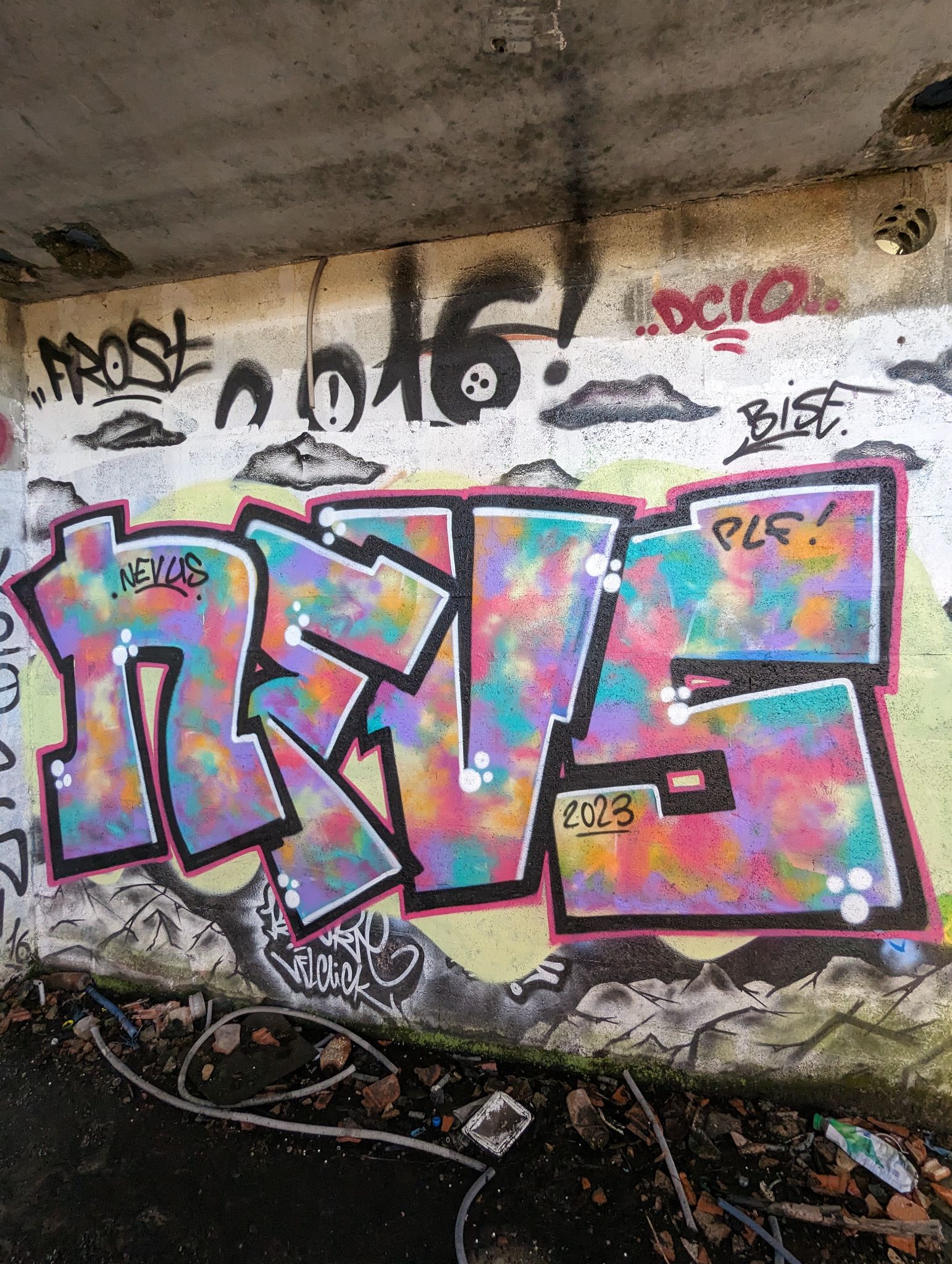 PXL 20240120 141008871