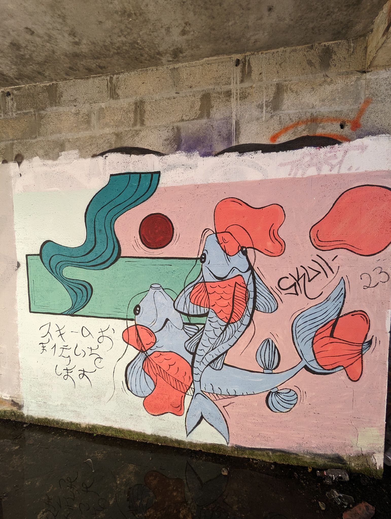 PXL 20240120 142105077