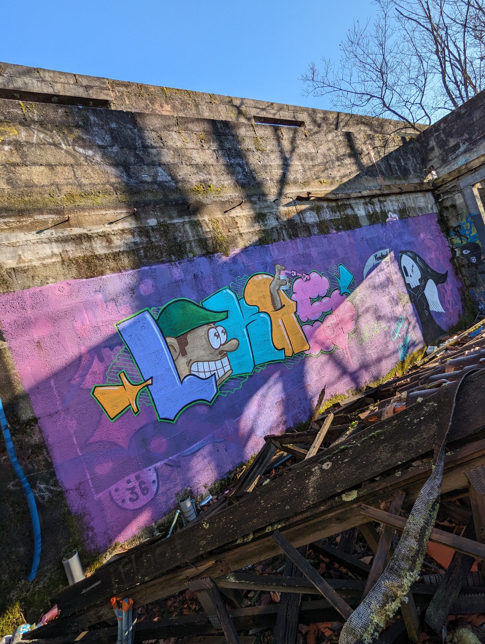 PXL 20240120 143937002