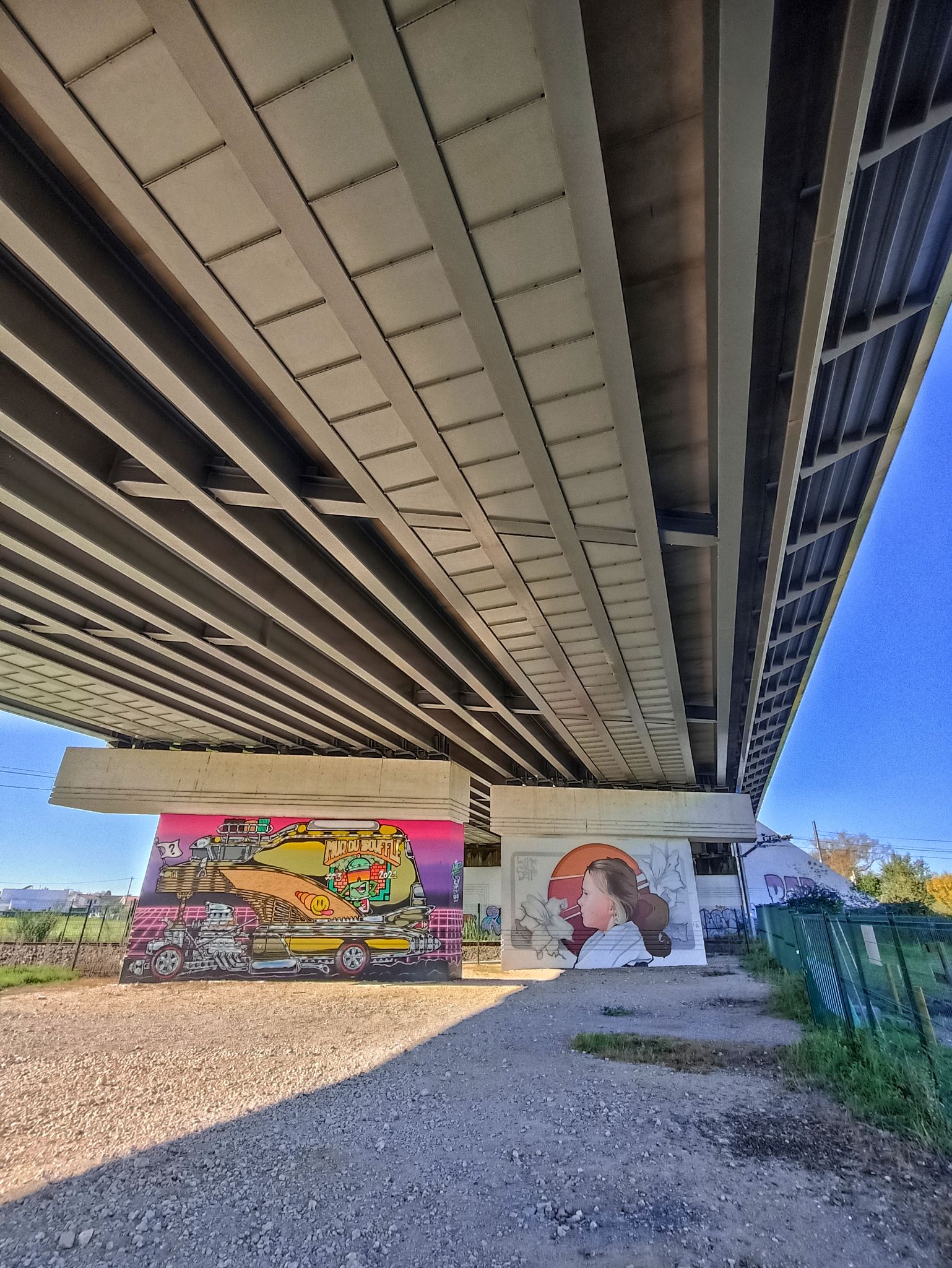 IMG 20221111 114456 01