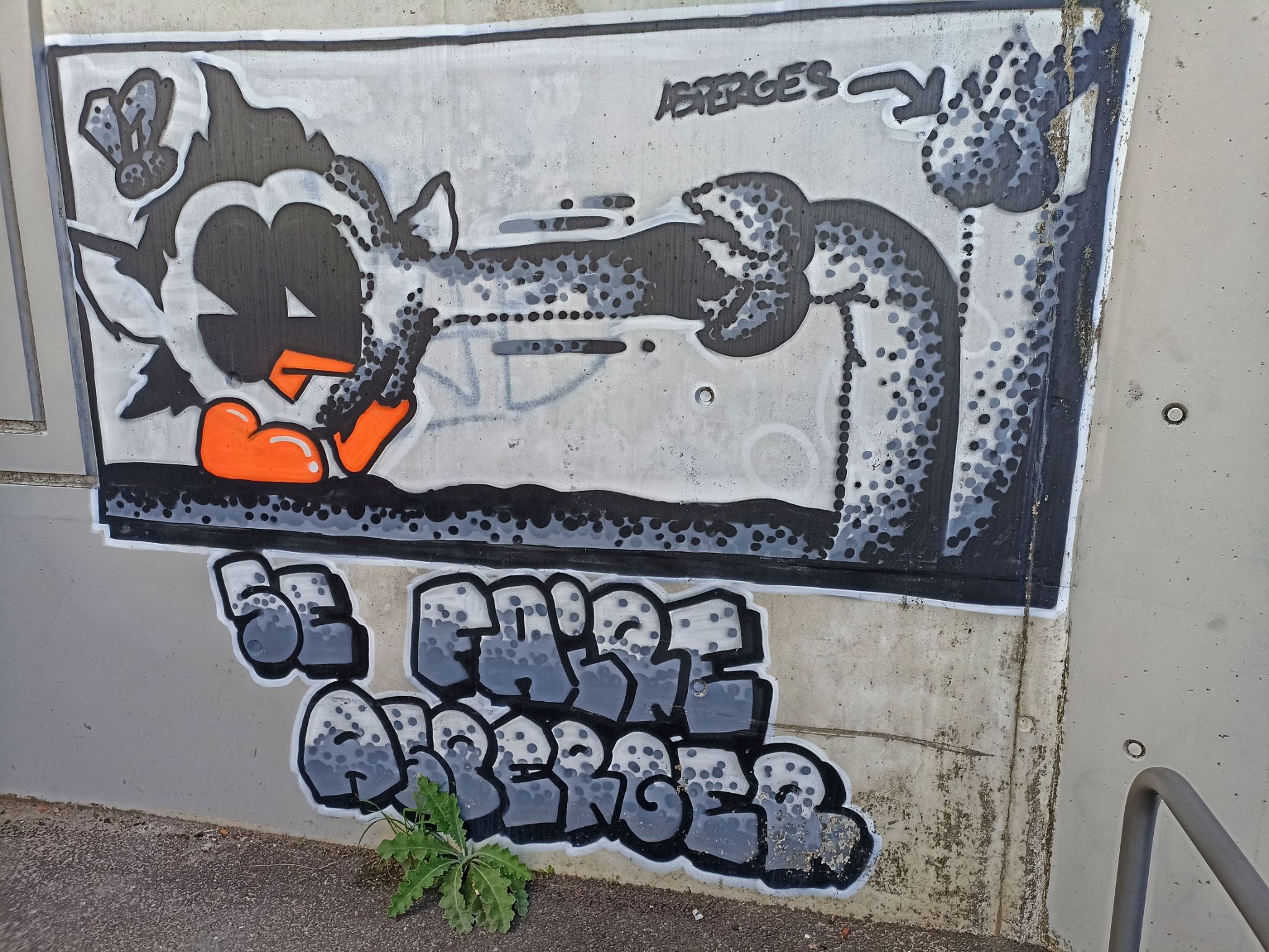 IMG 20221111 115925 01