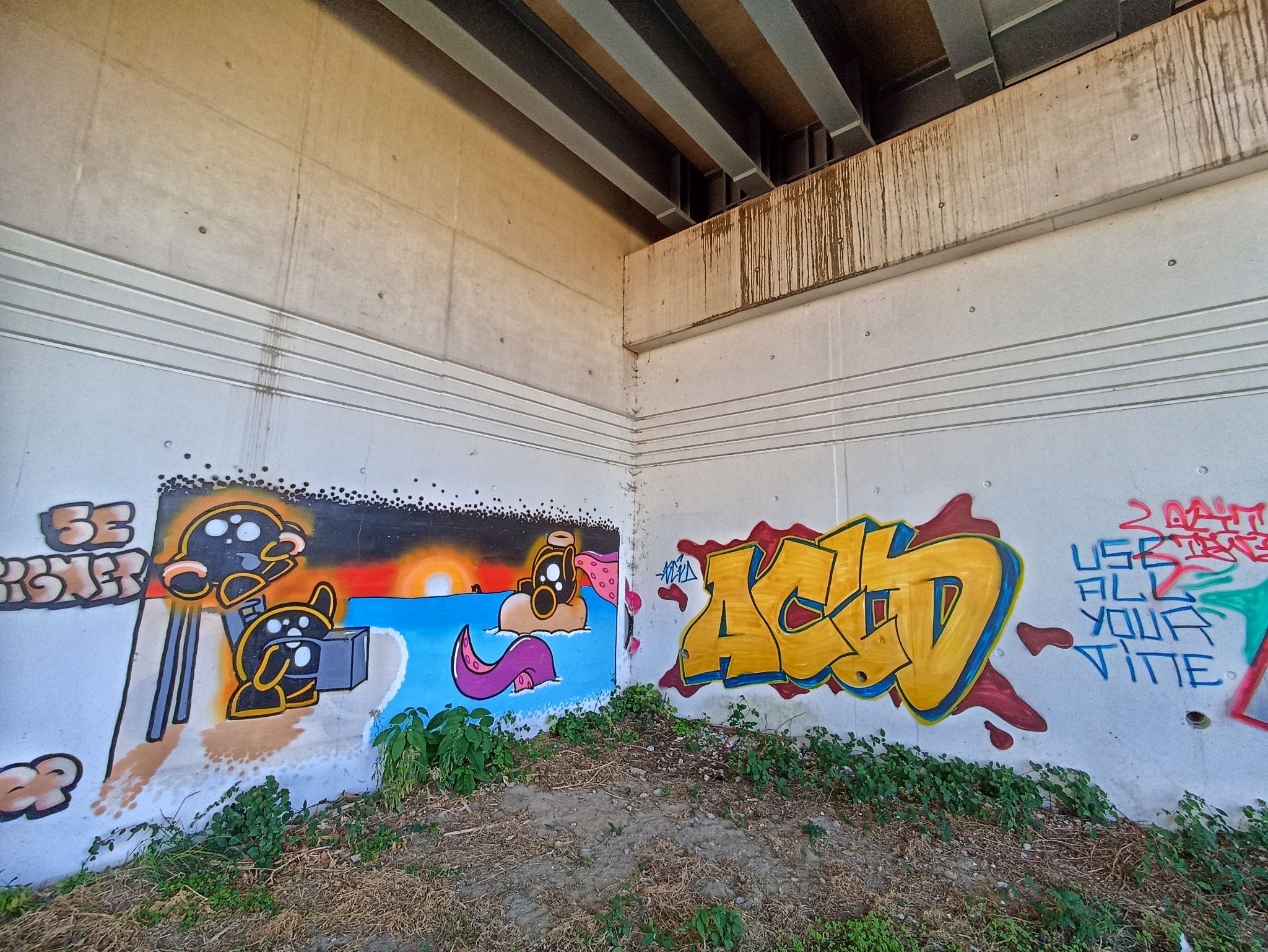 IMG 20221111 120242 01