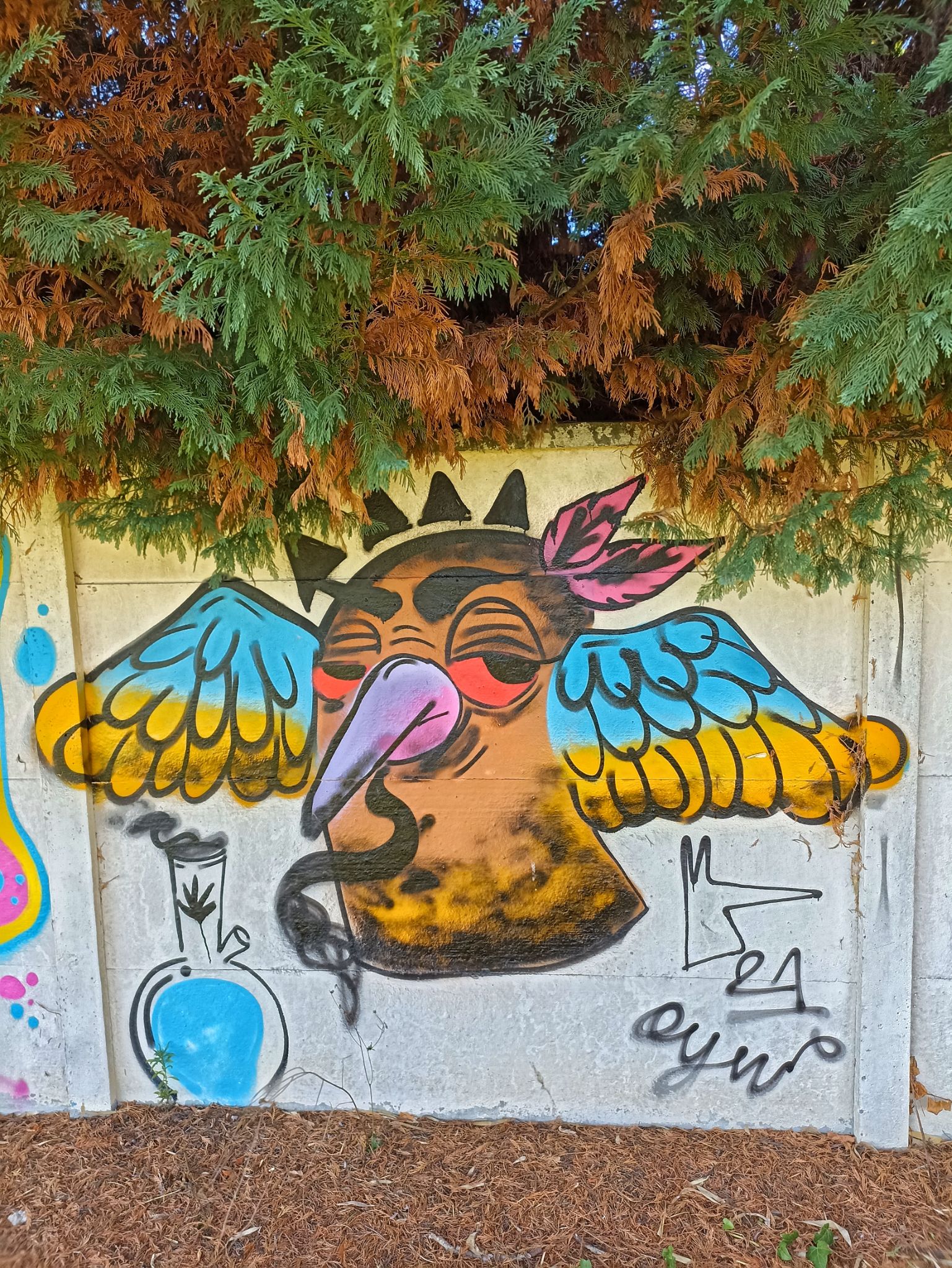 IMG 20221111 120445 01