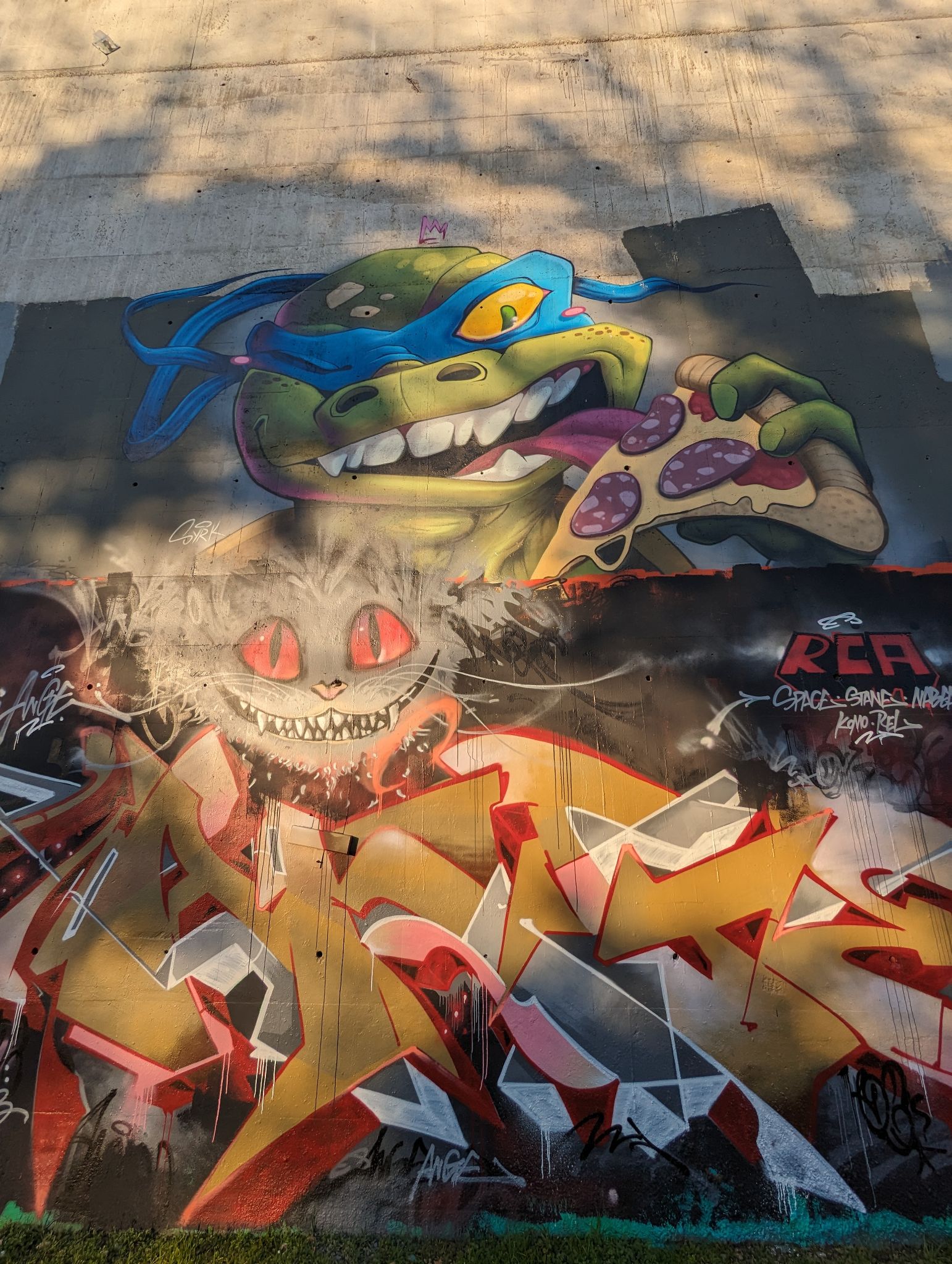 PXL 20240125 155420888