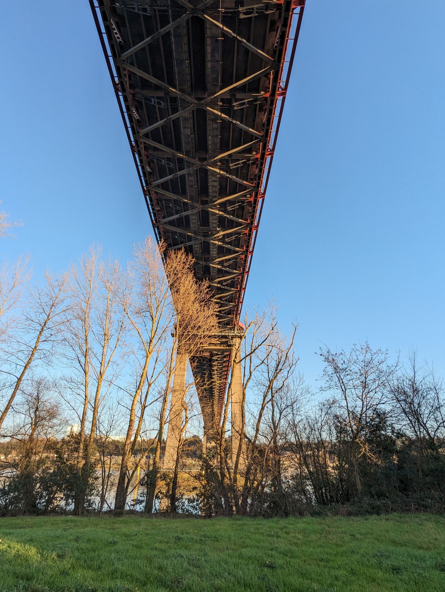 PXL 20240125 155716358