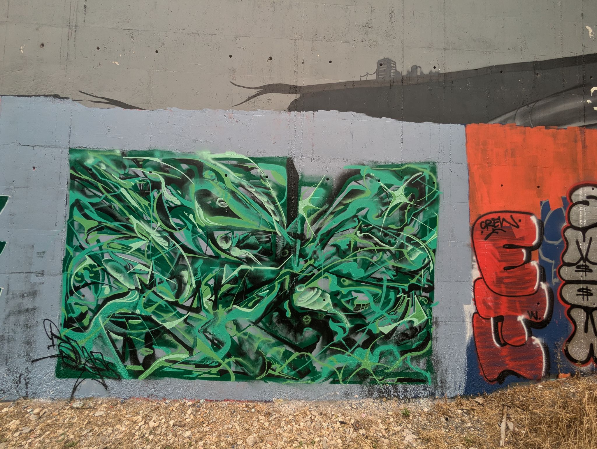 PXL 20240627 151525056