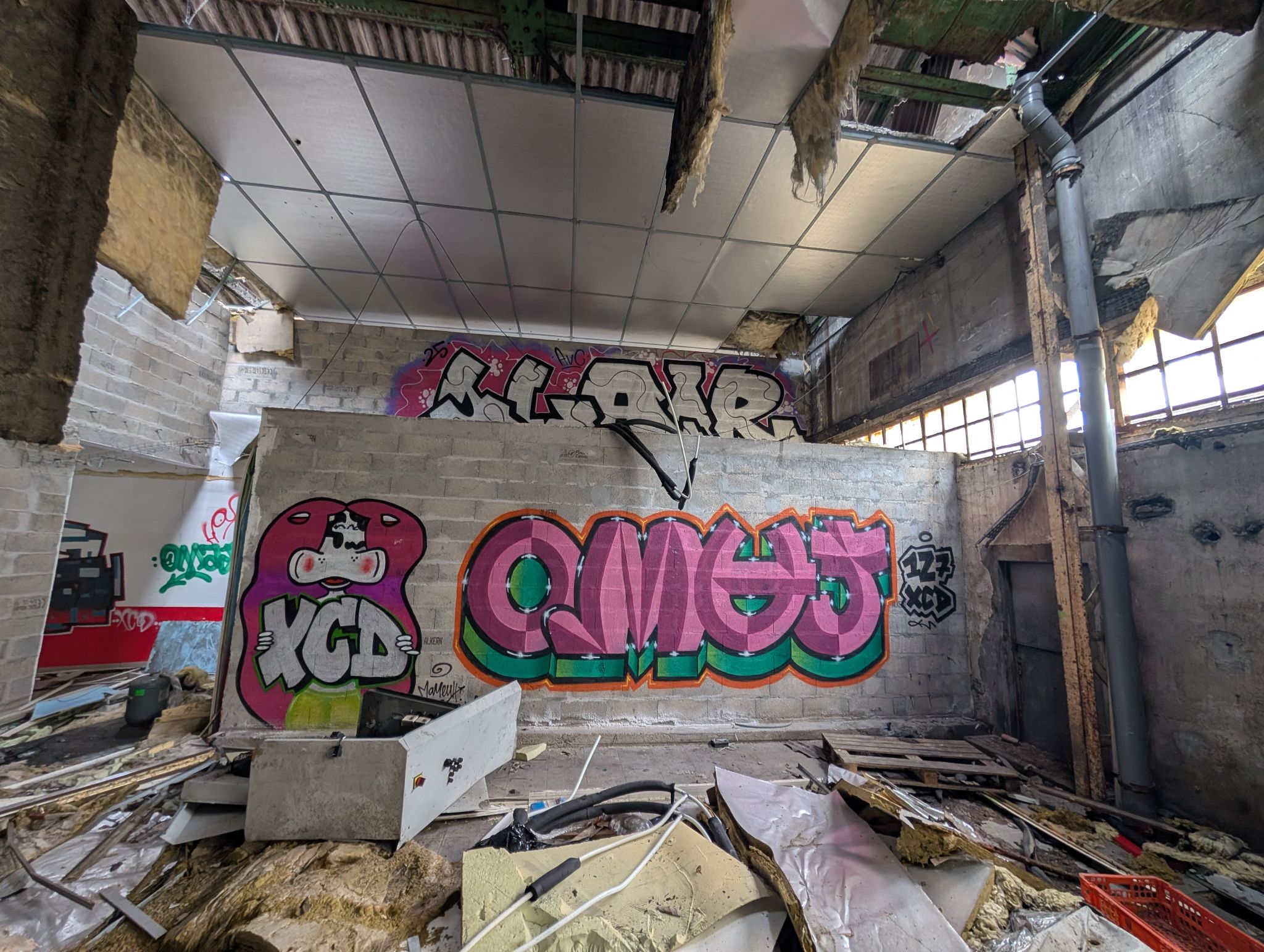 PXL 20250316 140943751