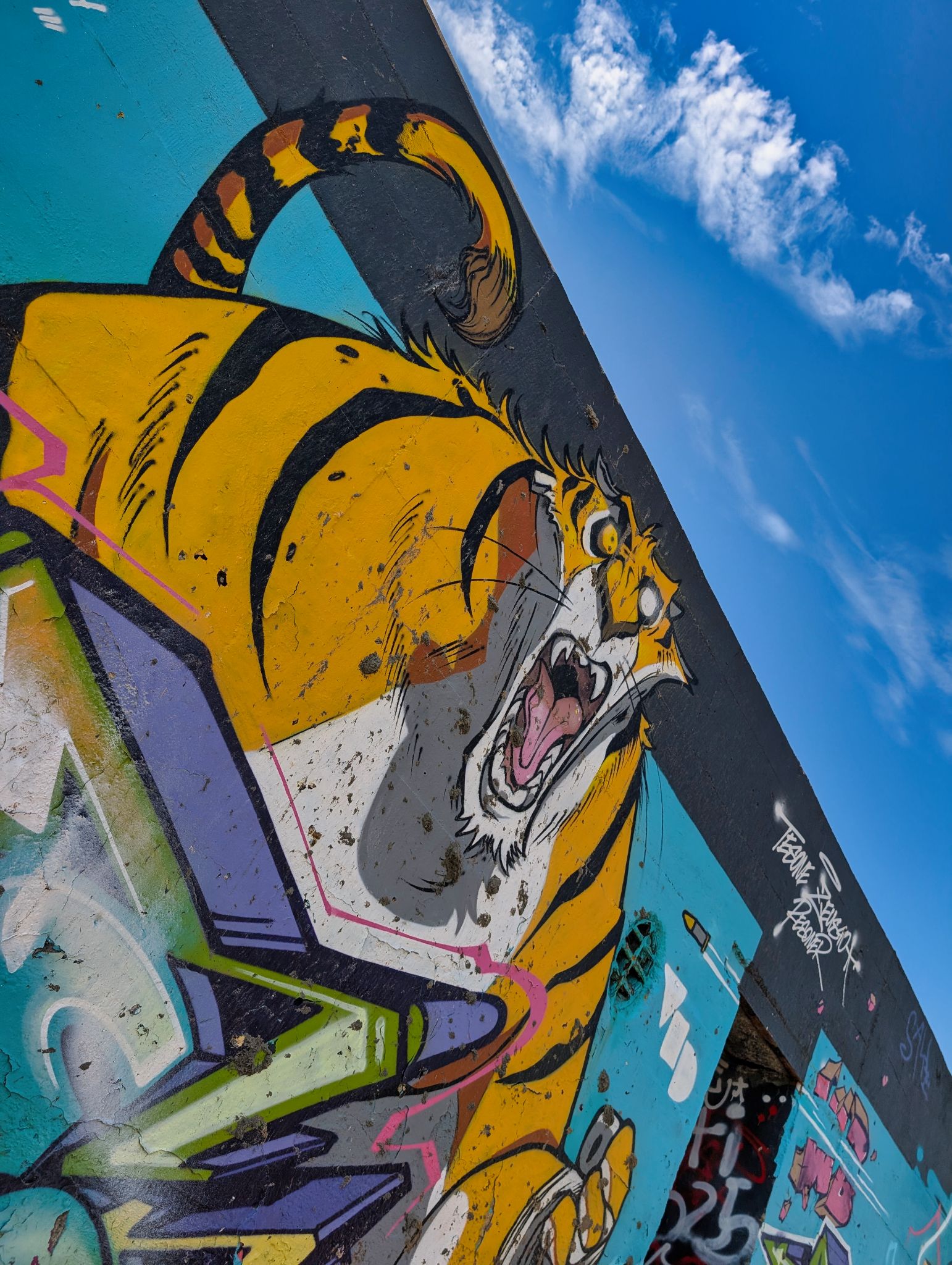 PXL 20250826 134337073