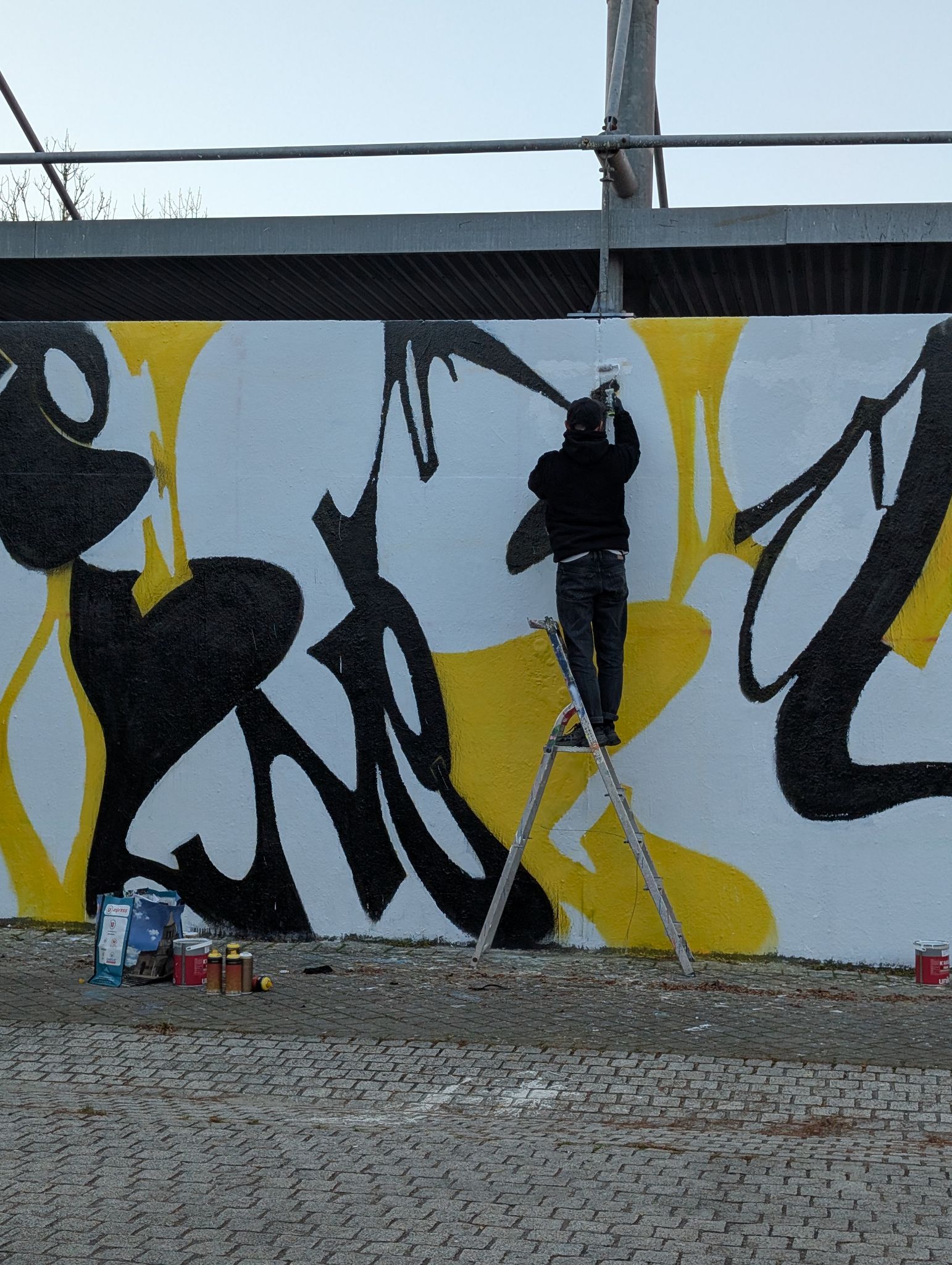 PXL 20251117 161243689