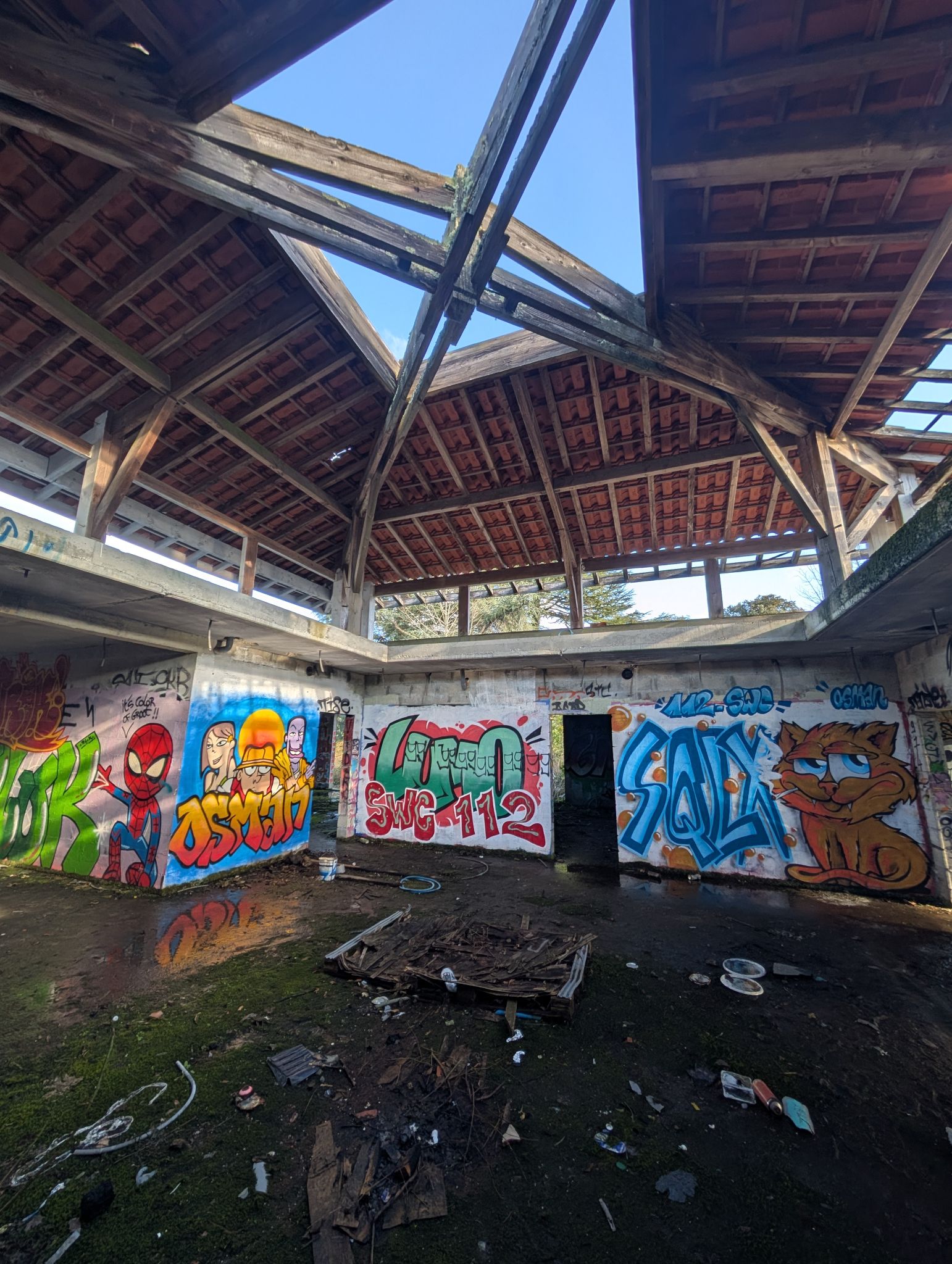 PXL 20250112 140949516