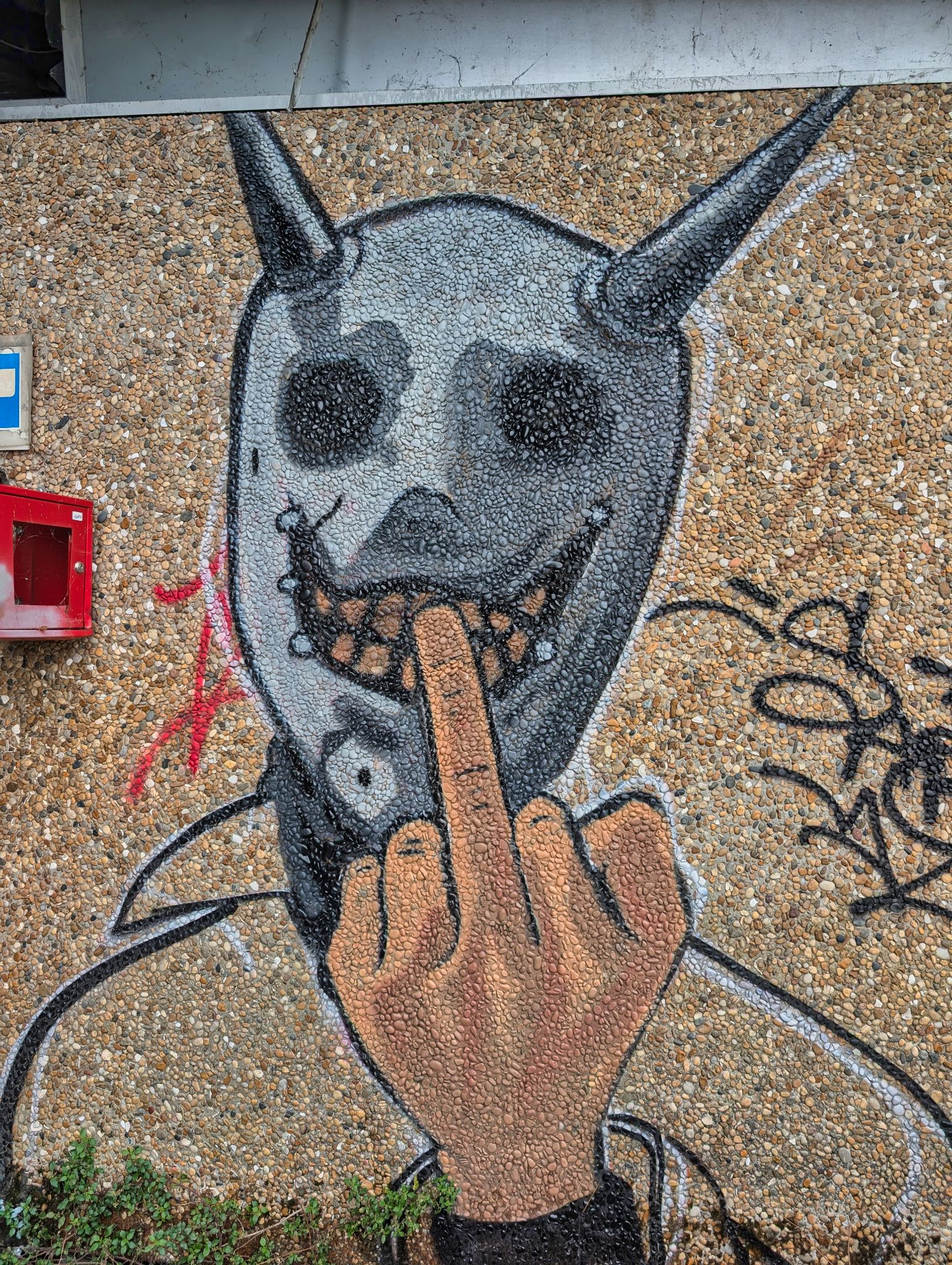 PXL 20250907 100351364