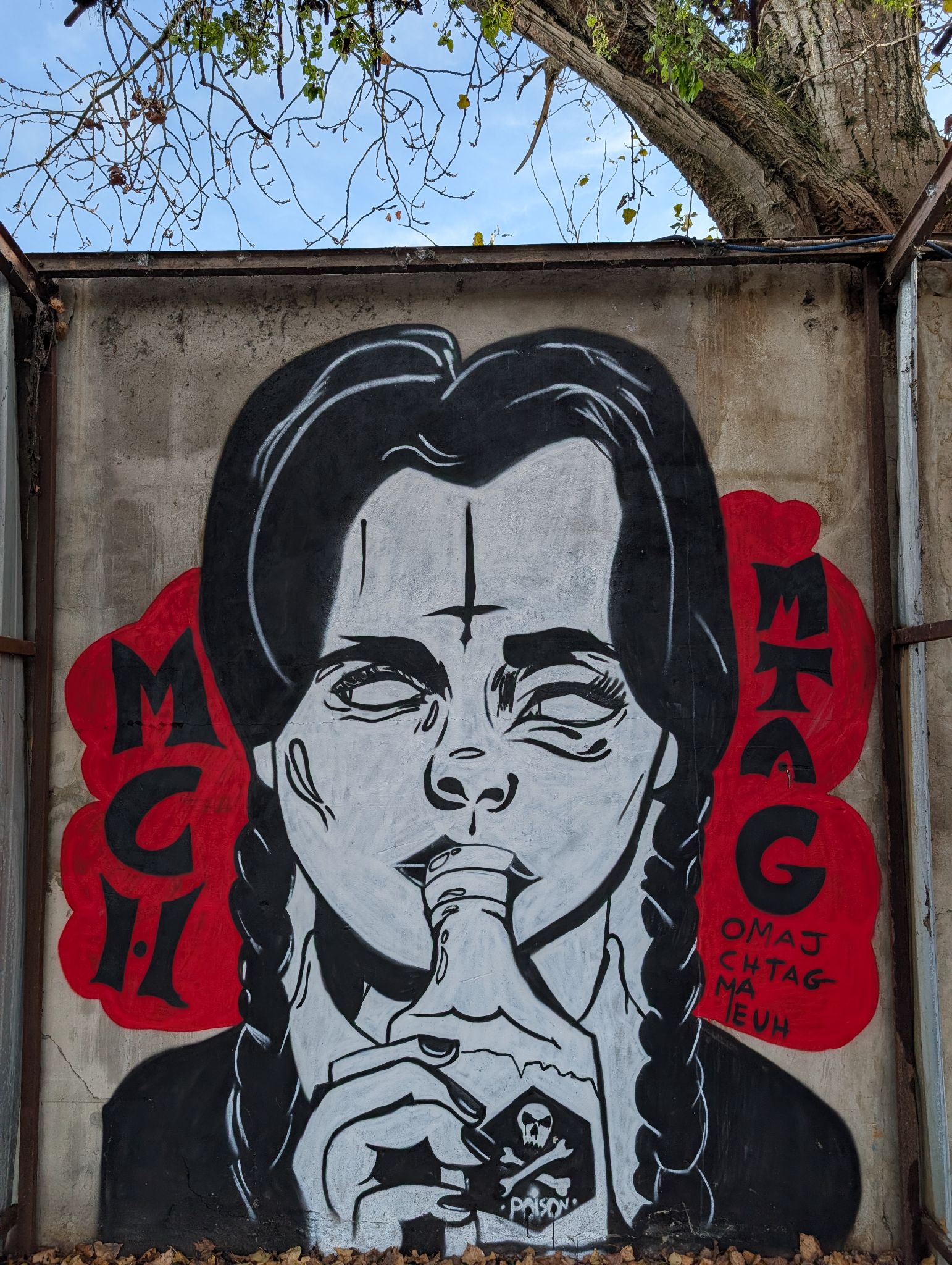 PXL 20260103 132313686