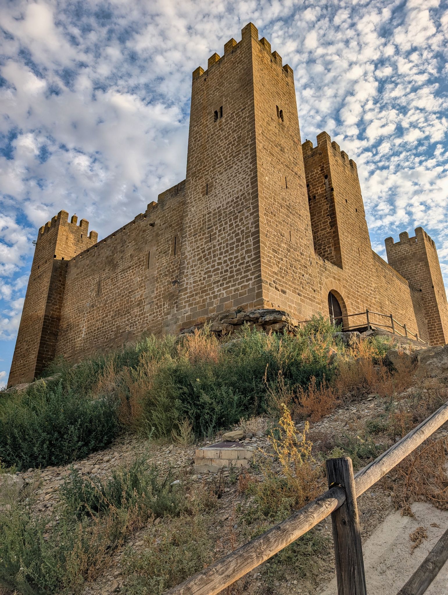 PXL 20250904 065925032