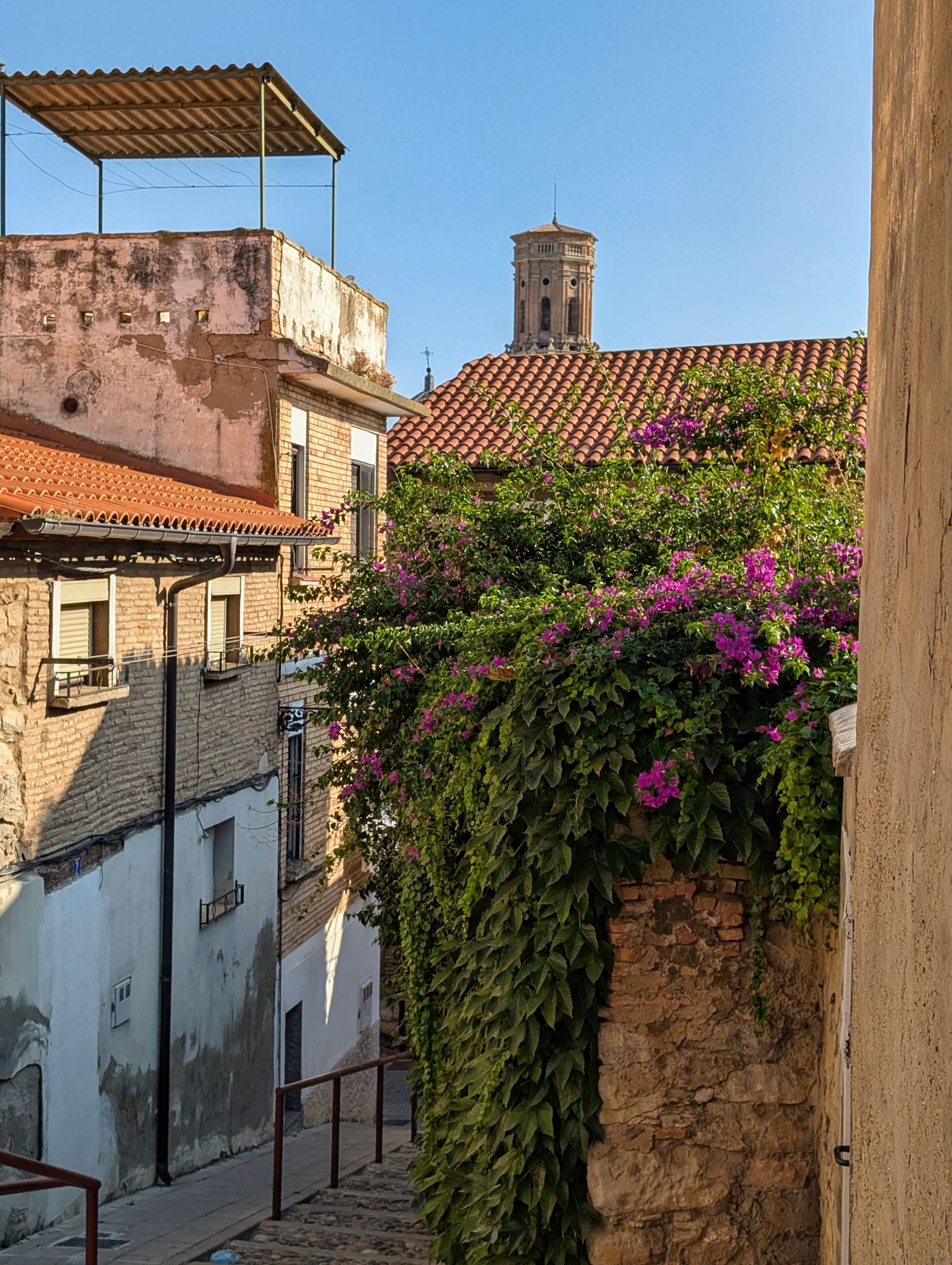 PXL 20250904 160953183